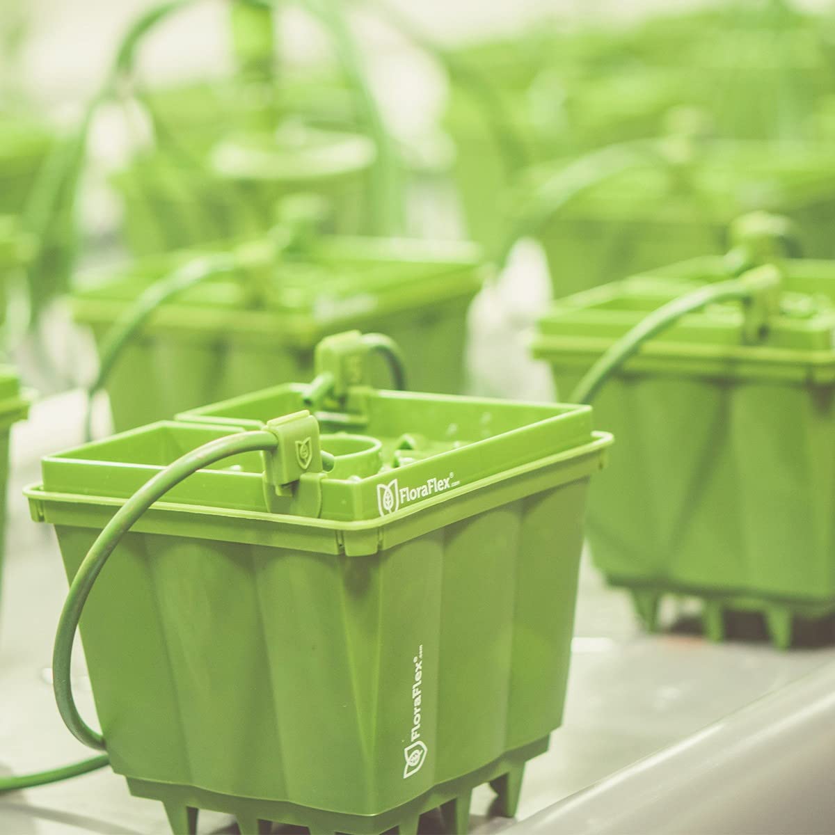 FloraFlex PotPro™ 6 Inch Hydroponic Grow Pots - Durable Plant Containers for Indoor Gardening, Hydroponics, and Greenhouse Cultivation | Perfect for Tomatoes, Peppers, and Herbs