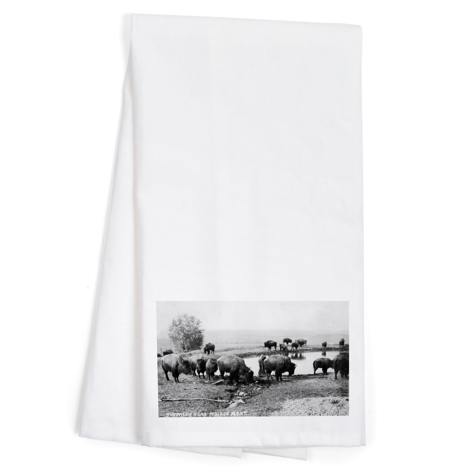 Lantern Press Montana Buffalo Drinking by Pond 100% Cotton Tea Towel - Decorative Hand Towel for Kitchen, Home Decor & Farmhouse Style | Perfect for Dish Drying, Wall Art & Rustic Gift