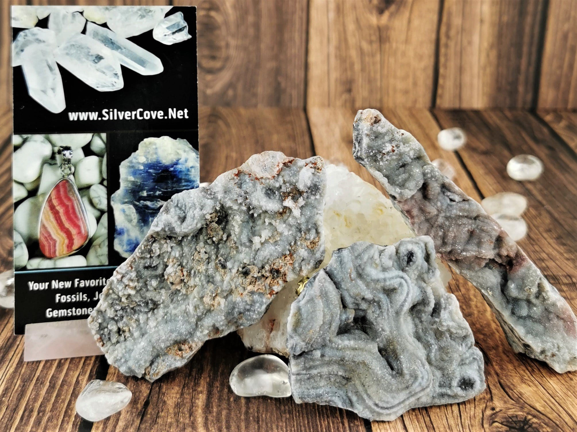 Natural Chalcedony Conch Shell Pins - Elegant Brooches for Women, Perfect for Dresses, Jackets & Hats | Boho Beach Jewelry