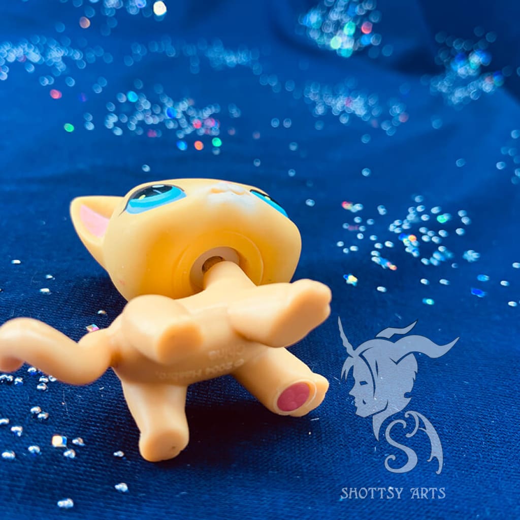 Curious Kitties Interactive Cat Toy Playset - Fun & Engaging Playtime for Indoor Cats - Perfect for Kittens & Adult Cats to Stimulate Hunting Instincts