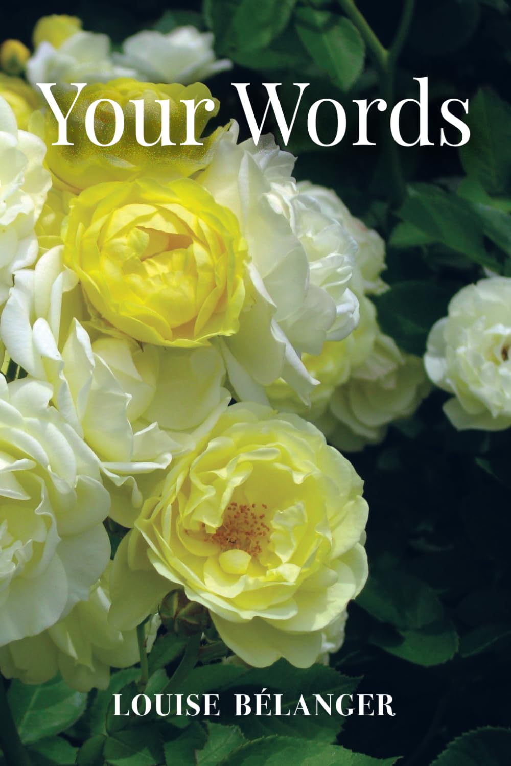 Your Words Collection - Poetry and Photography Books for Inspiration & Creativity | Perfect for Gifts, Home Decor, and Personal Reflection