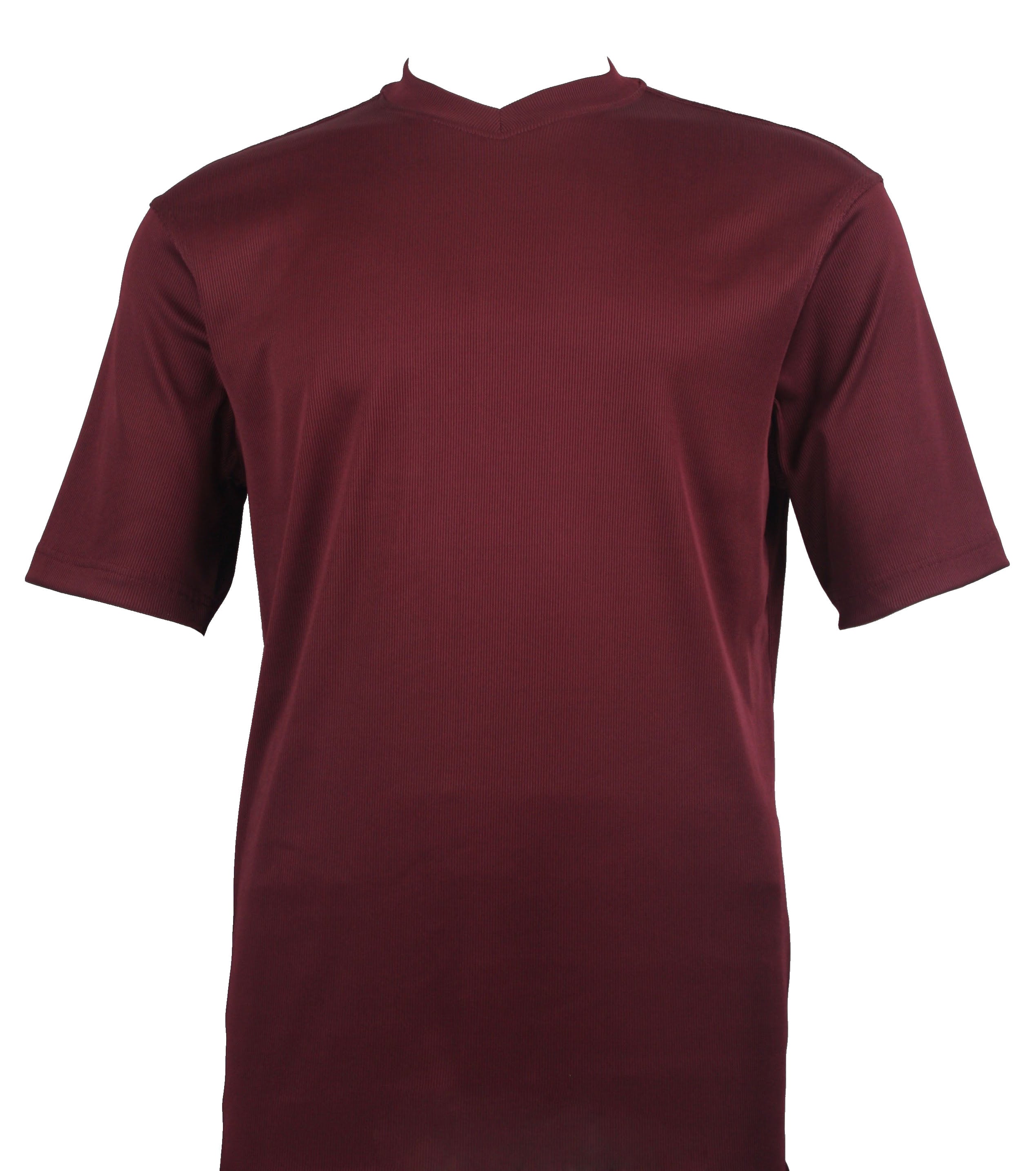 Bassiri Short Sleeve V-Neck T-Shirt for Women - Soft Plum Cotton Tee - Casual Summer Top for Everyday Wear, Outfits & Layering