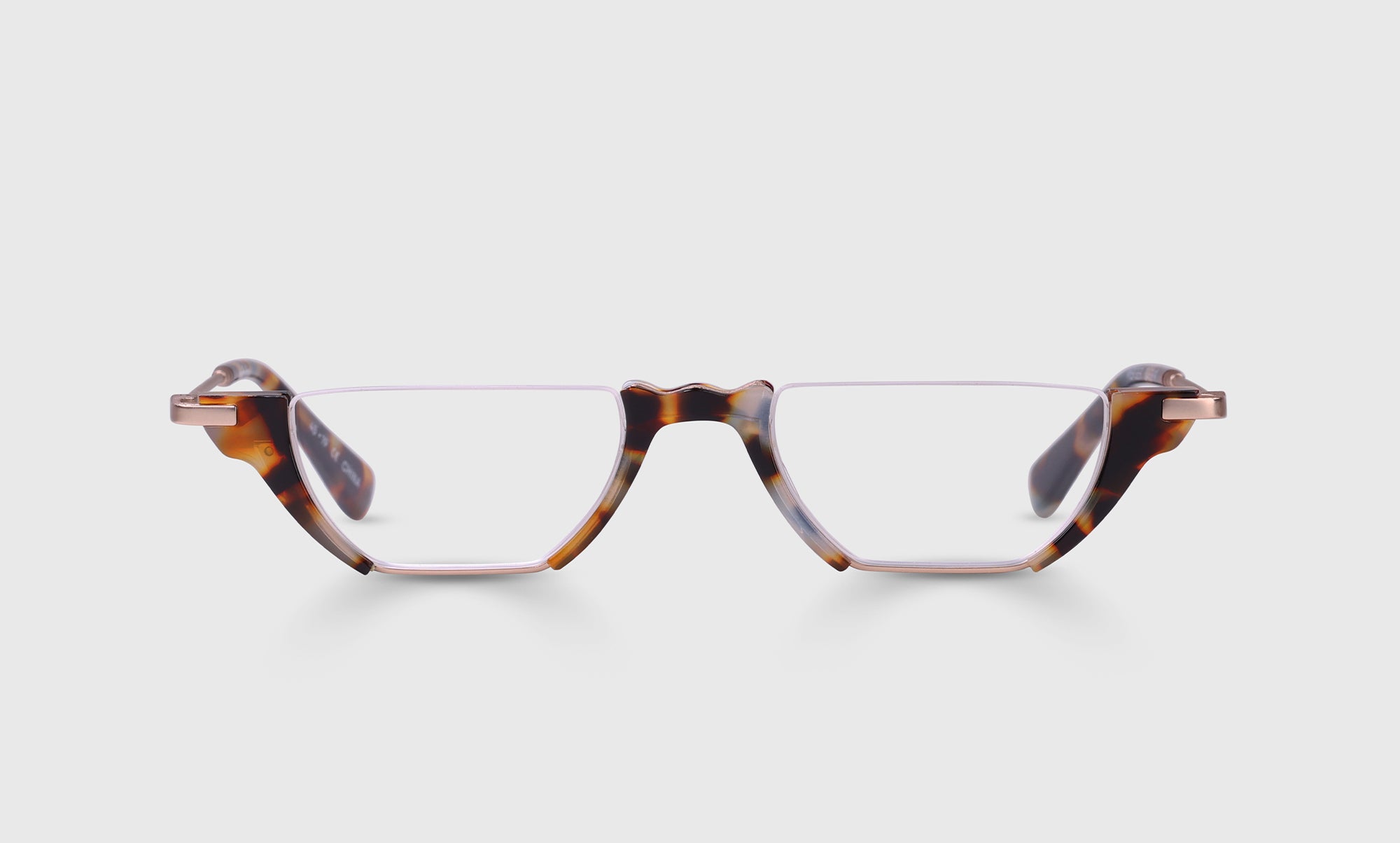 19 - Gold and Tortoise Front and Temples