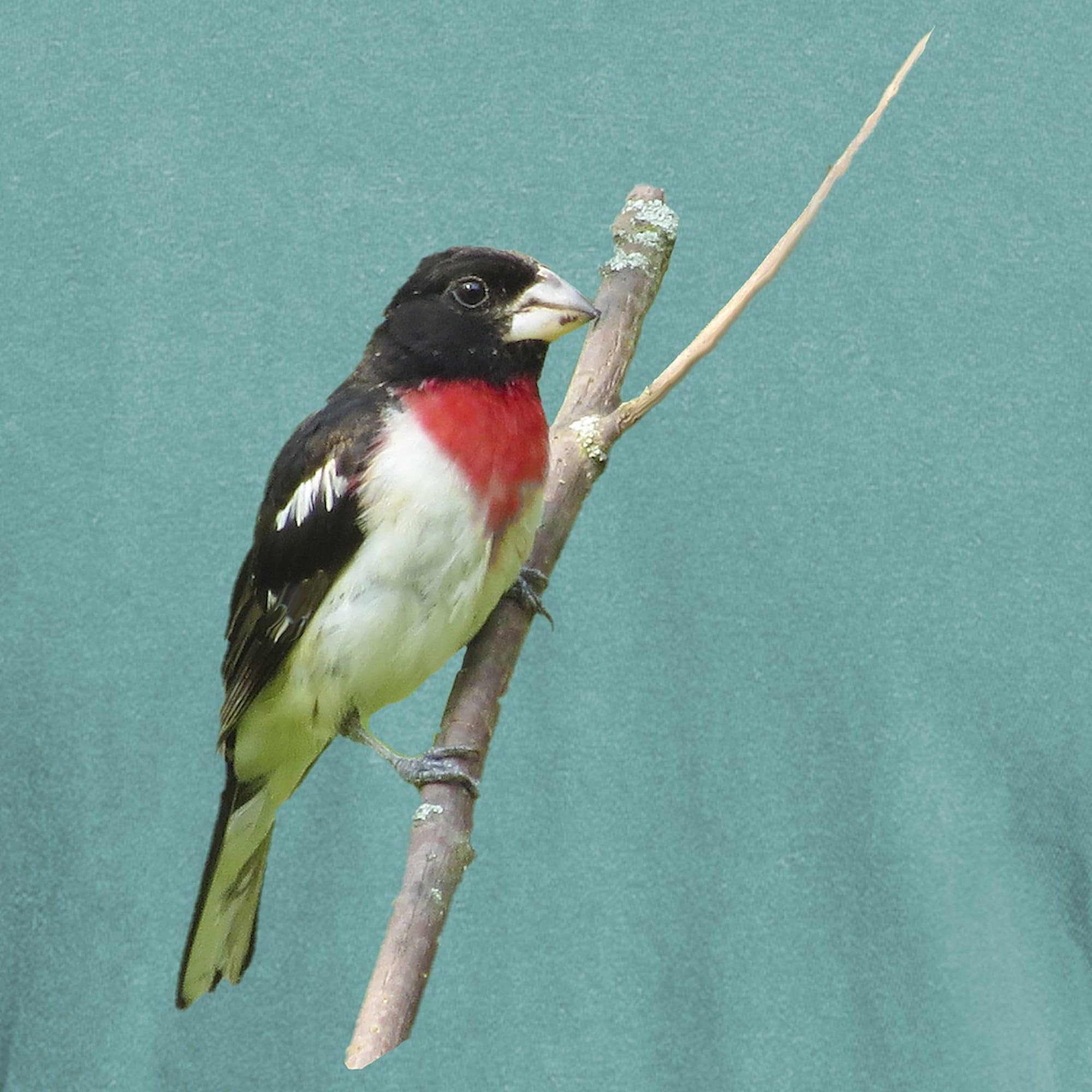 Rose Breasted Grosbeak T-Shirt for Men | Comfort Colors® Soft Cotton Tee | Bird Watching & Nature Lover Gift