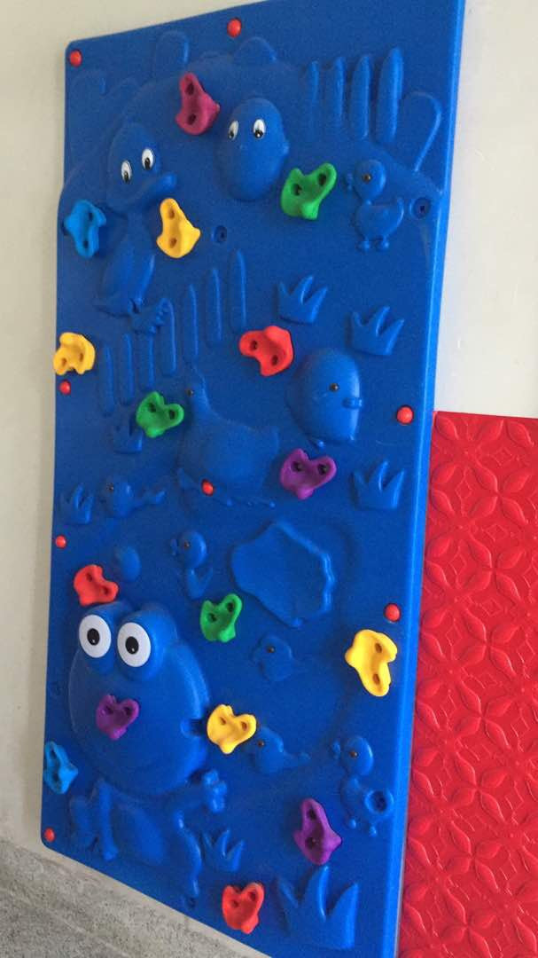 Best Indoor/Outdoor Climbing Wall for Kids & Adults - Rock Climbing Training Equipment for Home Gym, Playground & Backyard - Durable & Safe for Fitness & Adventure Training
