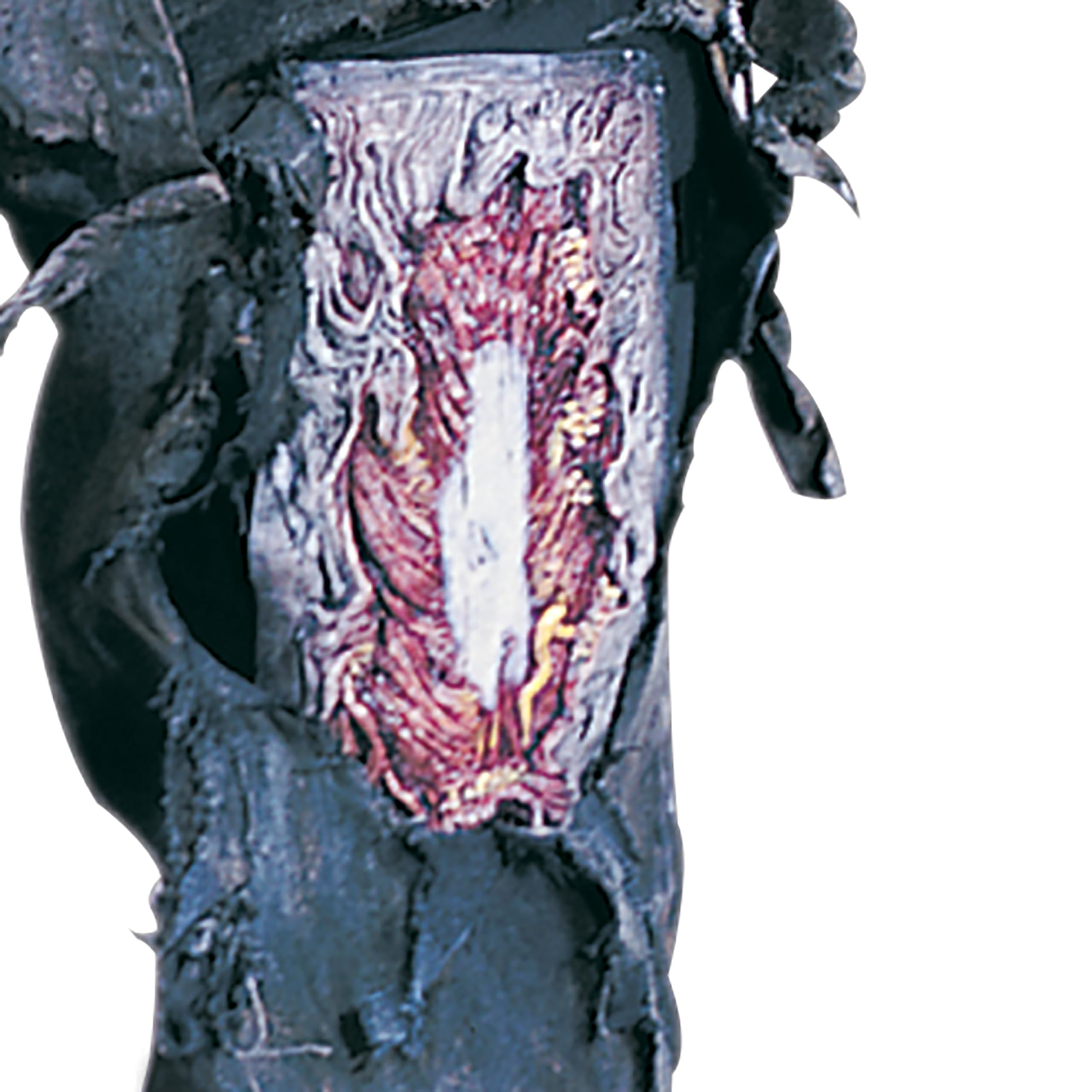 3D Zombie Costume for Men & Teens - Complete Halloween Outfit with Realistic Details | Perfect for Halloween Parties, Cosplay & Horror Events