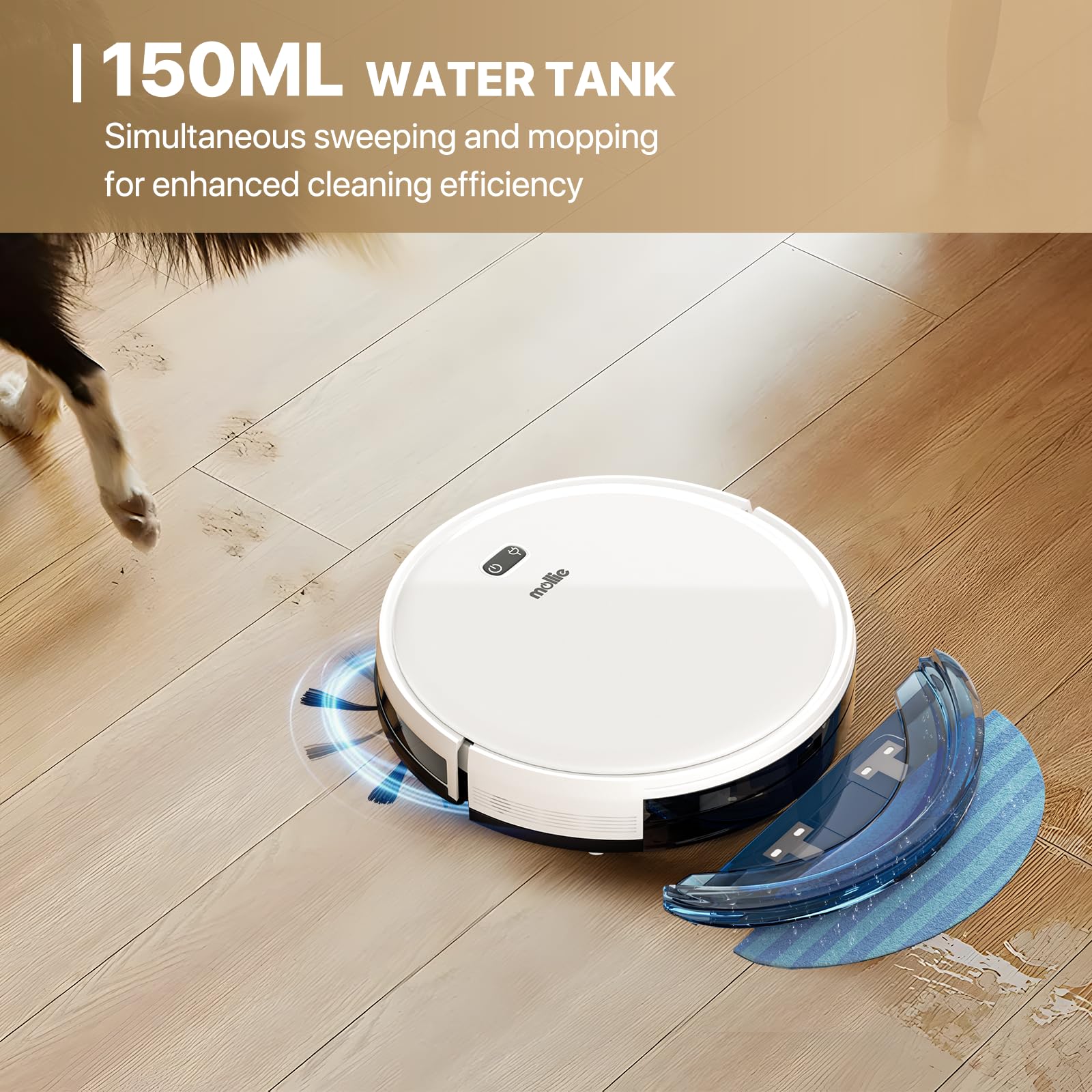 Mollie Wi-Fi Robot Vacuum & Mop, 2800Pa, Self-Charging - for Hard Floors & Carpets