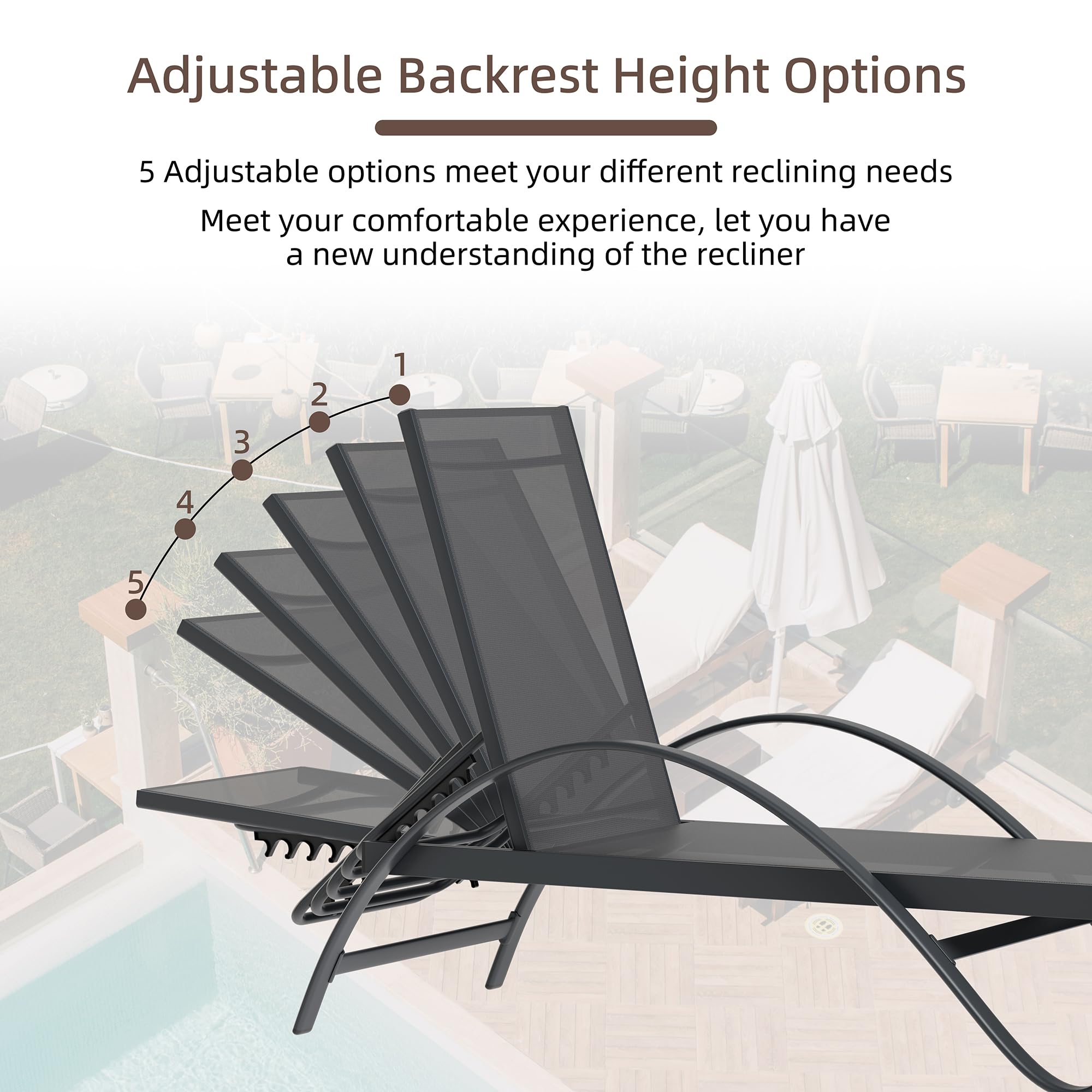Shintenchi 2-Piece Patio Chaise Lounge Set with Adjustable Backrest - Outdoor Pool & Beach Sunbathing Recliner Chairs for Backyard, Garden - Dark Grey