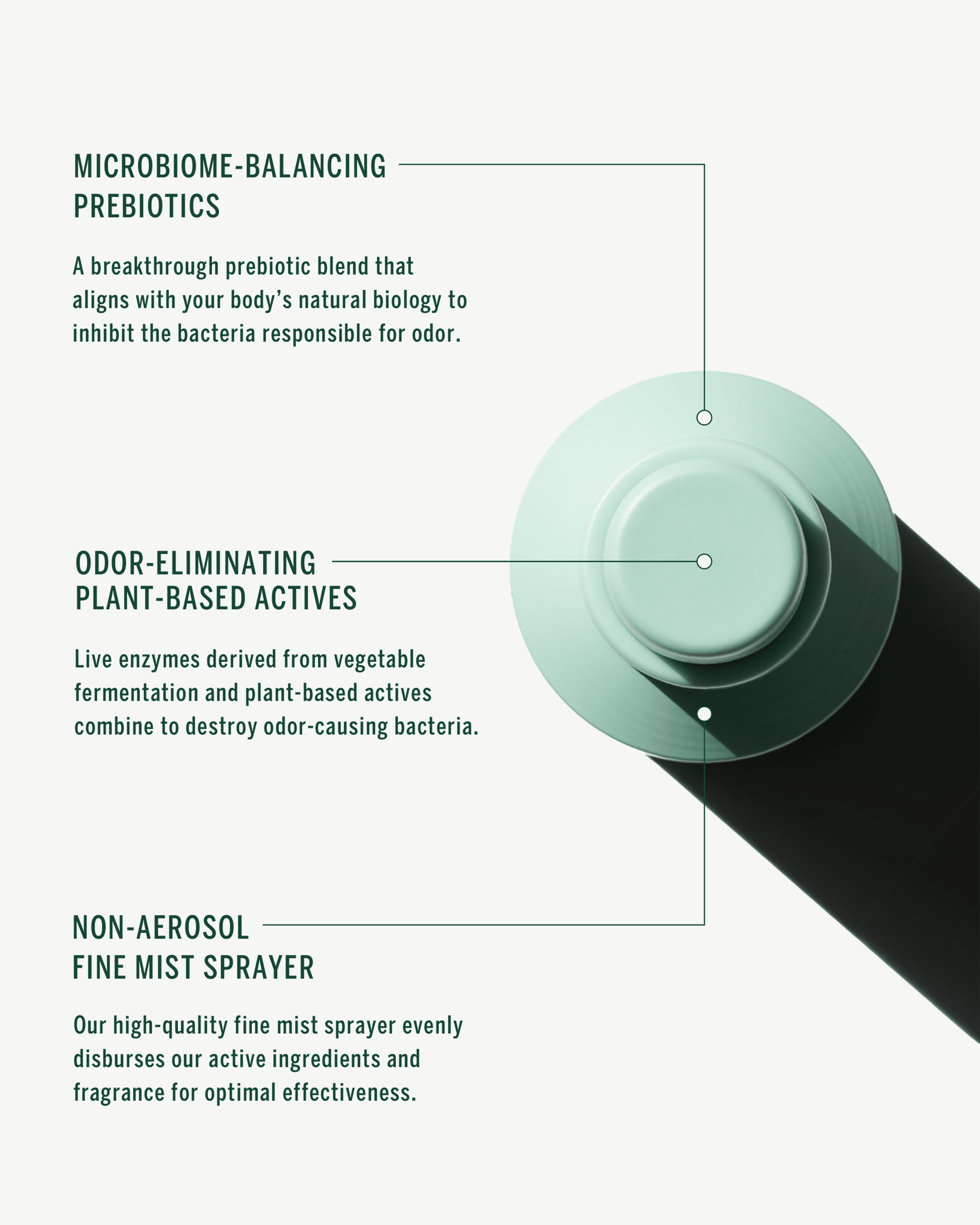 Third Rose Spray Deodorant for Women - Long Lasting Natural Body Odor Protection - Fresh Floral Scent for Daily Use at Work, Gym & Outdoor Activities