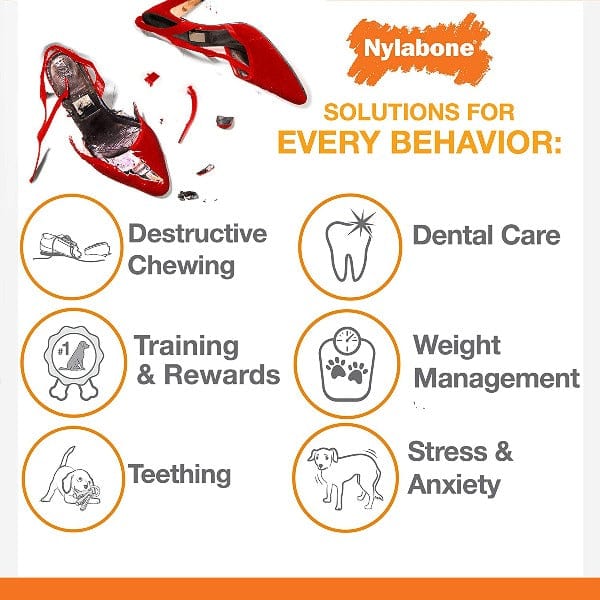 Nylabone Puppy Teething & Soothing Flexible Chew Toy for Small Dogs - Safe Dental Chew Bone for Puppy Teething Relief, Training & Playtime | Great for Boredom, Anxiety & Gum Health