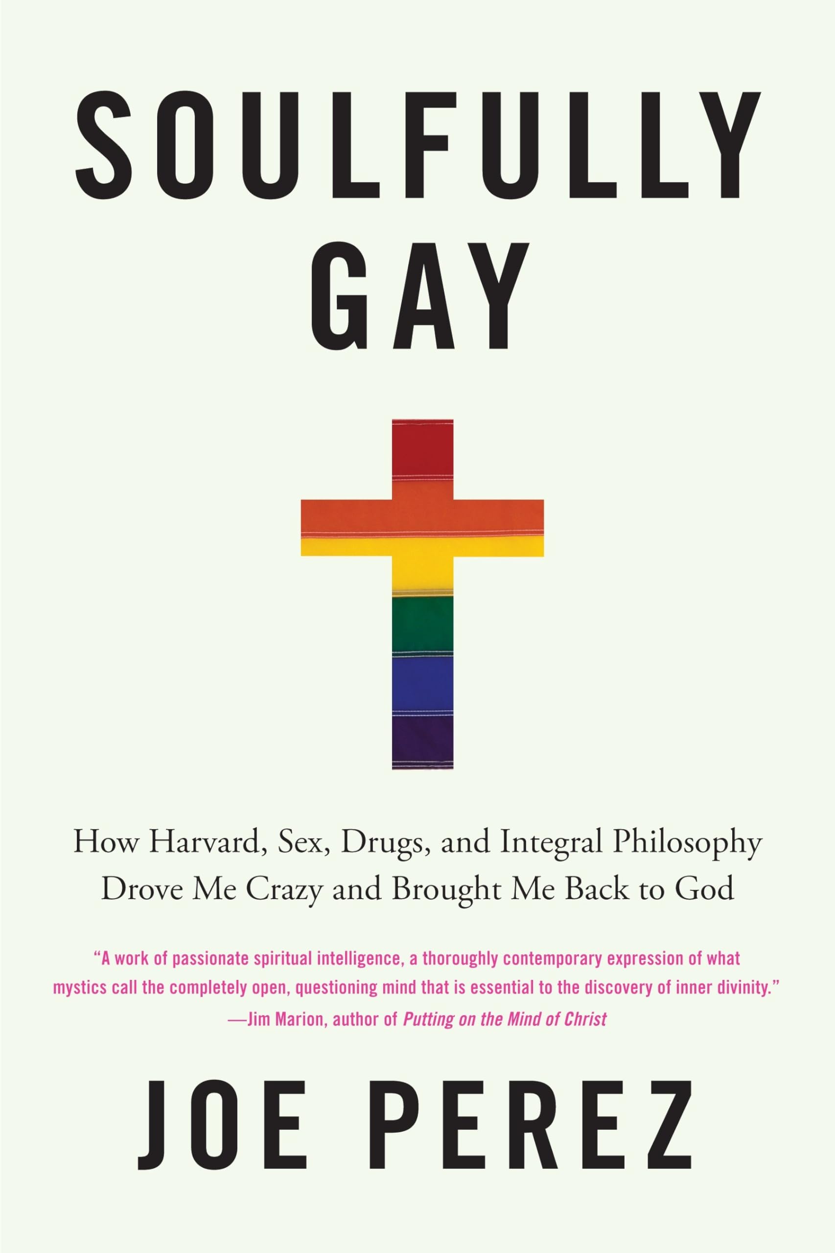 Soulfully Gay: How Harvard, Sex, Drugs & Integral Philosophy Transformed My Spiritual Journey - Memoir of Self-Discovery & Divine Awakening | Perfect for LGBTQ+ Readers, Spiritual Seekers & Philosophy Enthusiasts