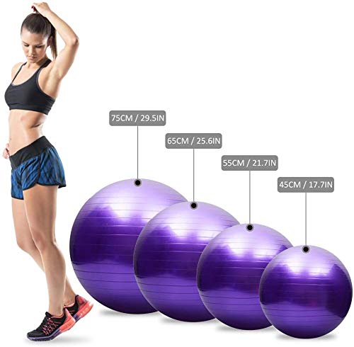 Premium Anti-Burst Yoga Ball - Extra Thick Stability & Balance Ball for Pilates, Barre, Physical Therapy & Home Fitness (45CM/55CM/65CM/75CM) - Includes Free Air Pump - Perfect for Gym, Office & Pregnancy Exercises