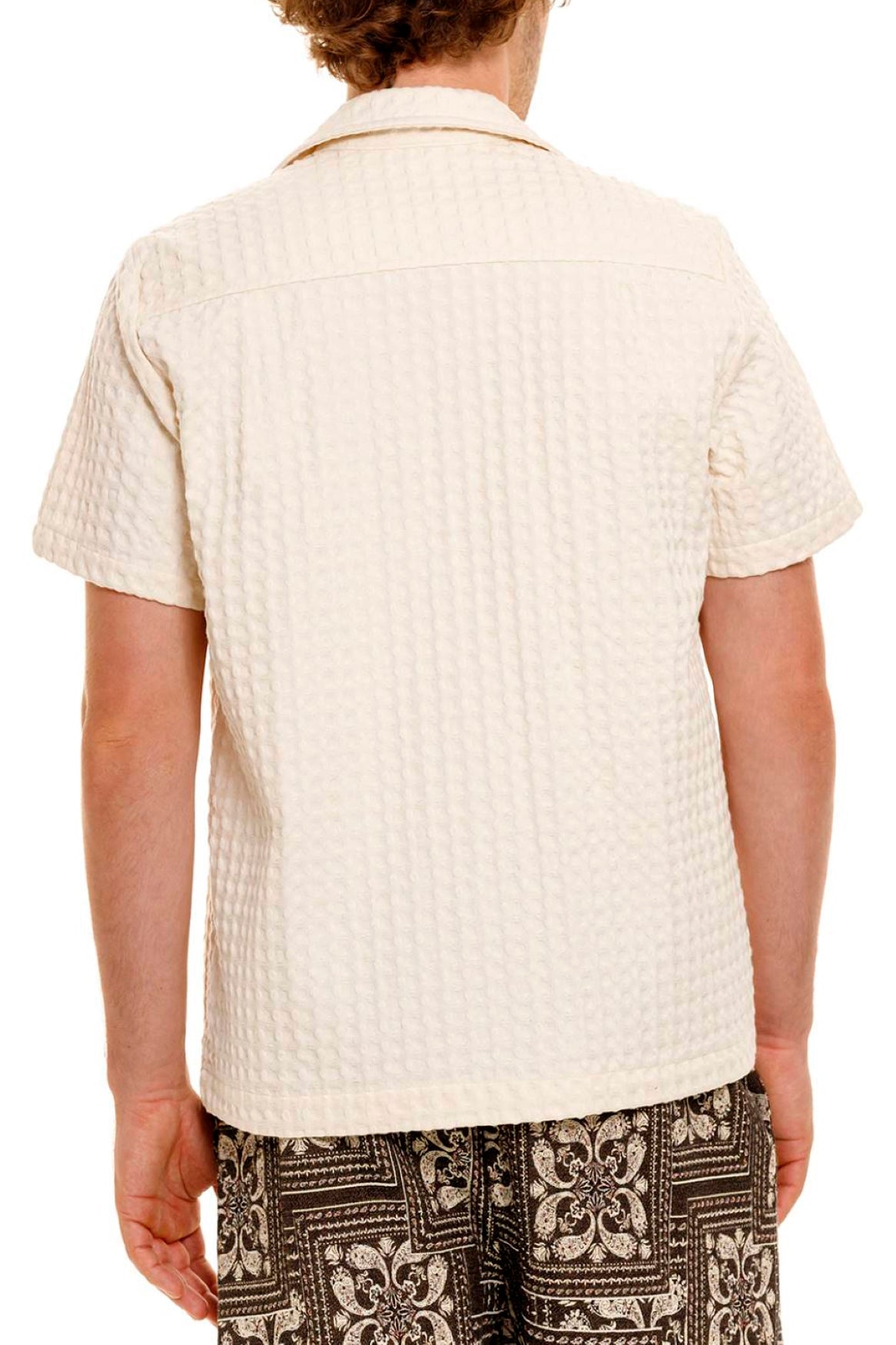 Cipres Jack Shirt 14262 - Men's Casual Button Down Shirt with Comfort Fit for Office, Dating & Outdoor Activities