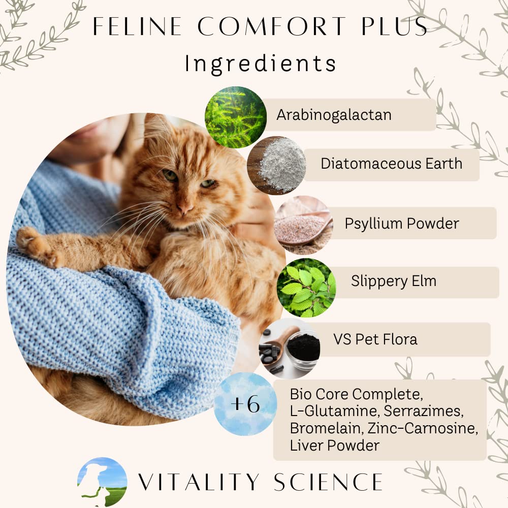 TRDV Protocol for Cats - 3-Part Holistic Treatment with Probiotics for Diarrhea Relief & Digestive Support | Immune Boosting Cat Supplement | Anti-Diarrhea Formula in Tuna Flavor (Small) - Perfect for Sensitive Stomachs & Daily Wellness