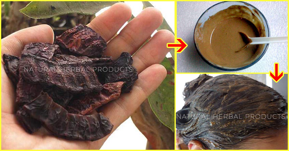 Organic Shikakai Powder for Hair Growth & Strength - 200g Natural Herbal Shampoo for Shine & Conditioning | Ayurvedic Hair Care for Daily Use & Scalp Health