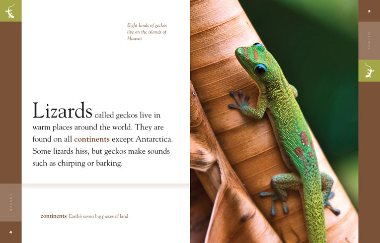 Amazing Animals (2014): Geckos - Educational Documentary DVD for Kids & Nature Lovers | Perfect for Homeschooling, Classroom Learning & Family Movie Nights