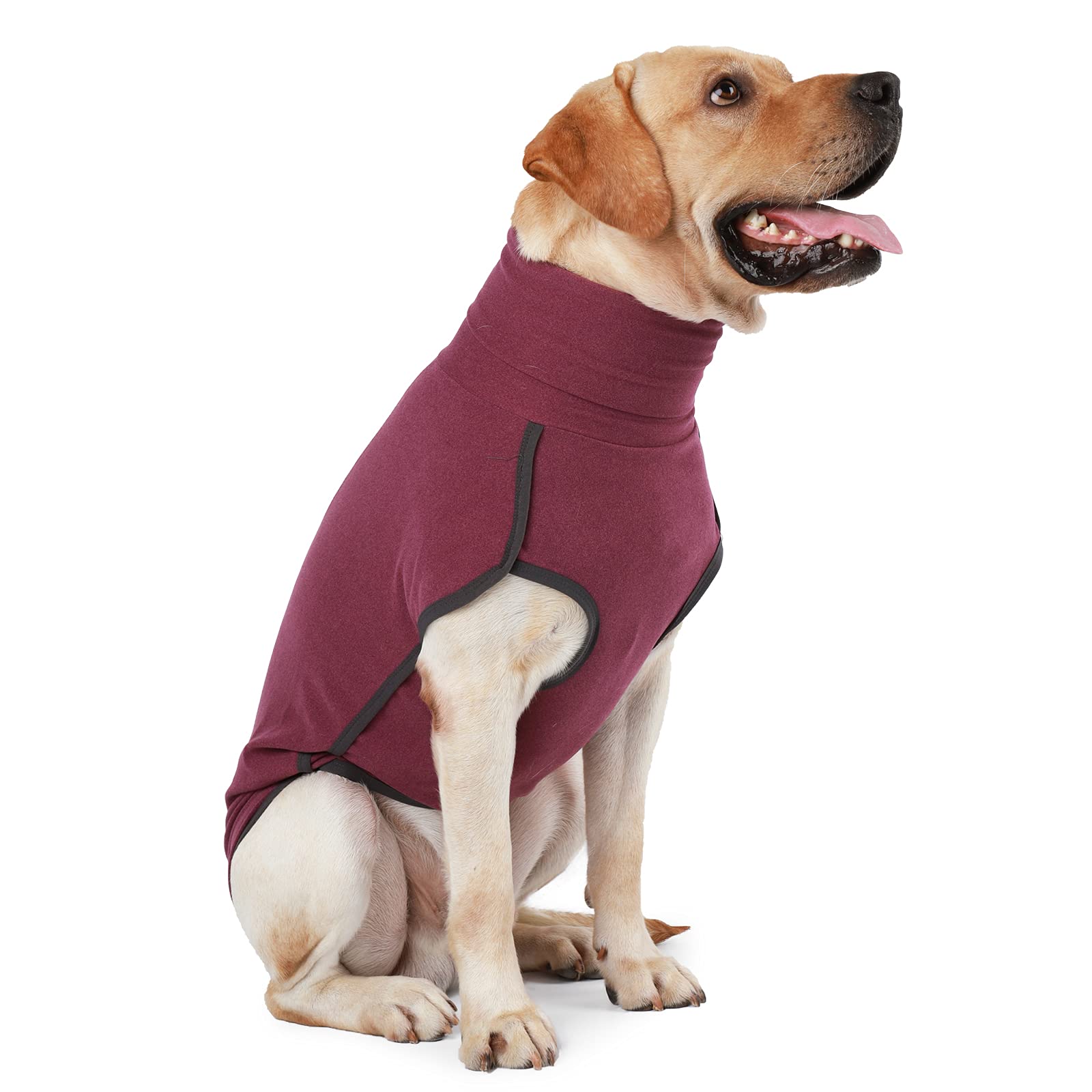Warm Dog Sweater Pullover - Cold Weather Vest for Small Dogs, Cozy Dog Hoodie Jacket for Indoor & Outdoor Use (XS, Wine Red) - Perfect for Winter Walks & Pet Fashion