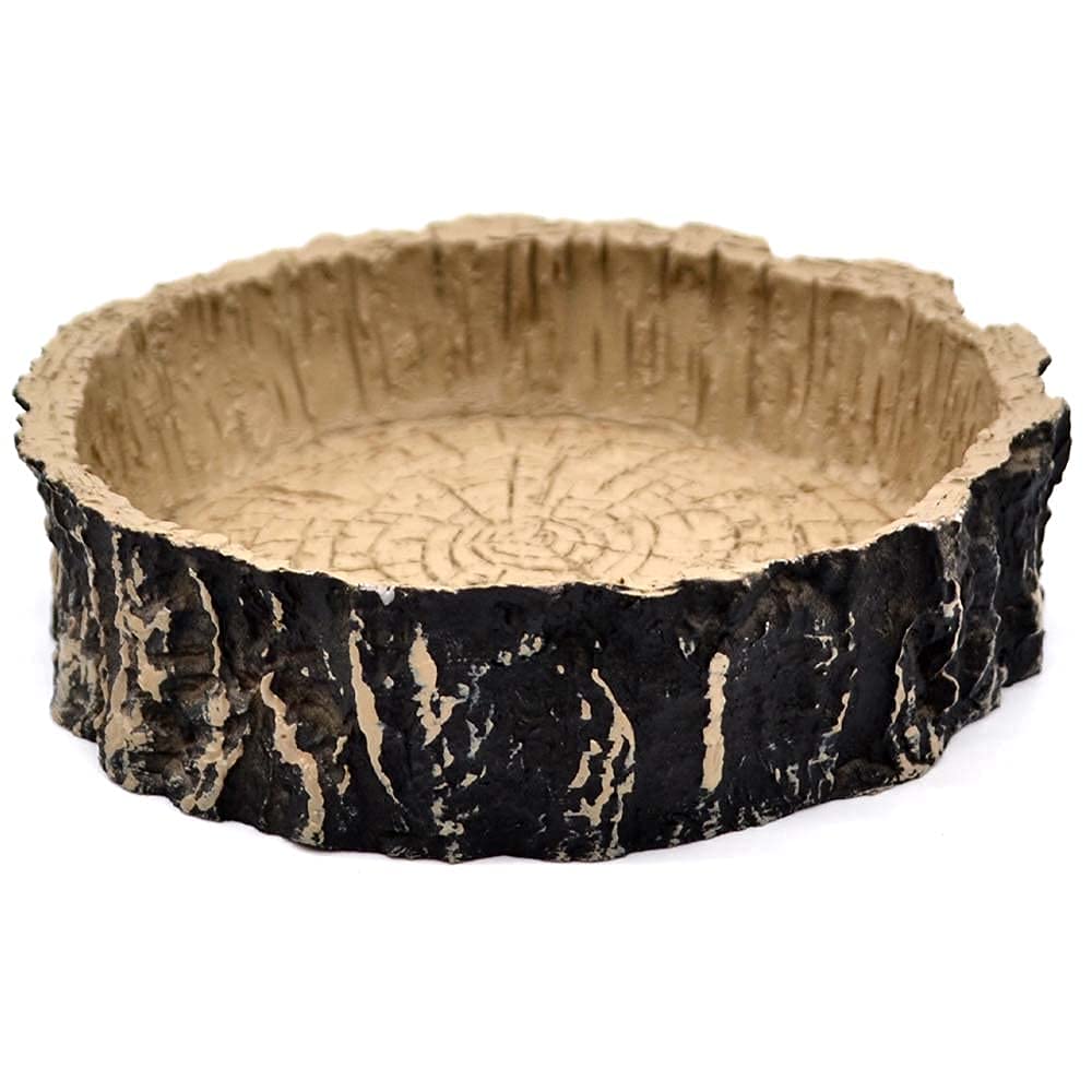 10 Gallon Boa Constrictor Terrarium Kit - Complete Snake Habitat Setup for Pet Boas - Perfect for Reptile Enclosures in Home or Classroom