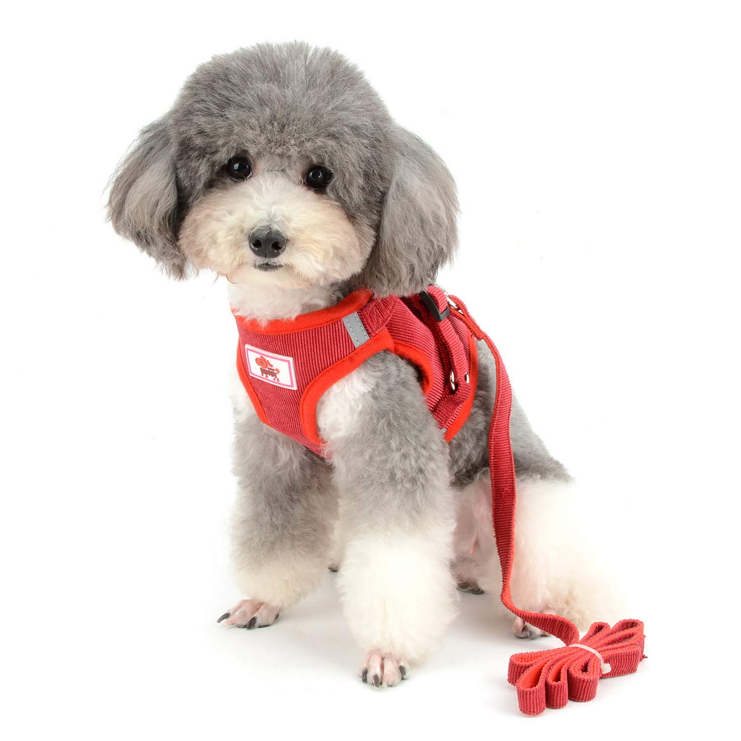 No Pull Dog Harness and Leash Set - Adjustable Reflective Soft Corduroy Mesh Vest for Small Dogs & Puppies (Chihuahua, Boy/Girl) - Comfortable Step-in Design for Walking, Training & Outdoor Adventures (Red)