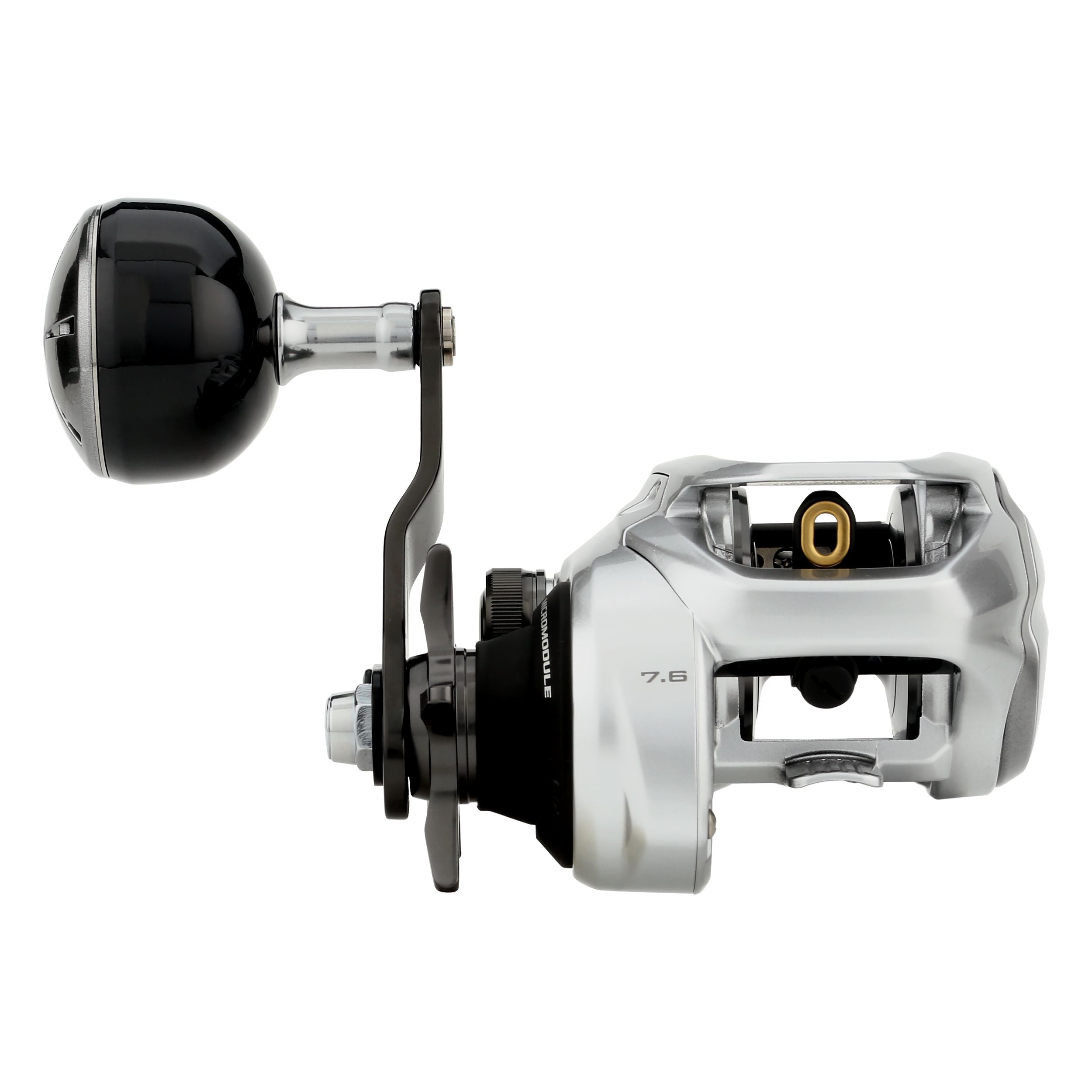 Shimano Tranx 300 B Baitcasting Reel 2025 Model - High Performance Saltwater Fishing Reel for Bass, Pike & Musky | Perfect for Offshore & Inshore Fishing Adventures