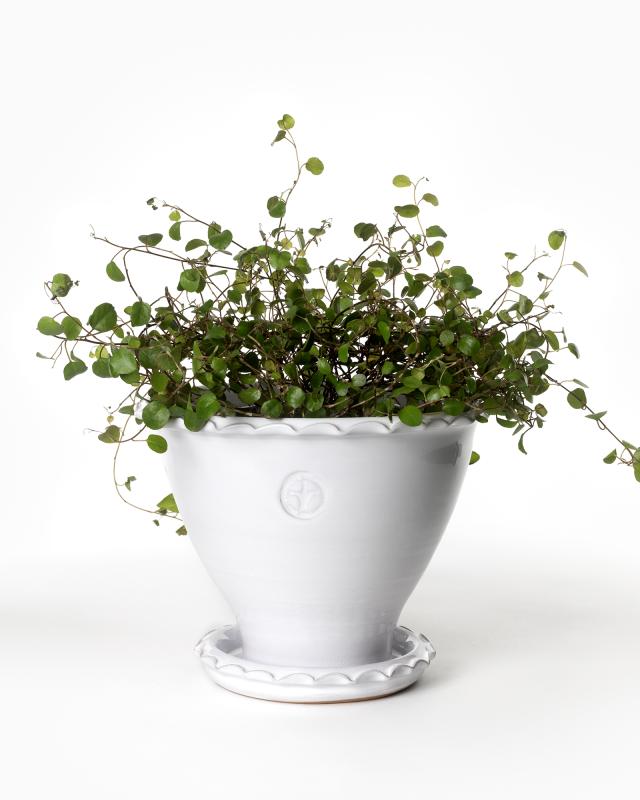 Kruka Sturehof Adelcrantz White Ceramic Flower Pot 17cm - Perfect for Indoor Plants, Succulents, and Home Decor