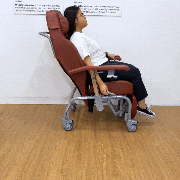 Vermeiren Normandie Luxury Geriatric Recliner Chair for Elderly - Comfortable Relaxing Chair for Seniors with Adjustable Backrest and Footrest - Perfect for Home, Nursing Homes, and Assisted Living Facilities