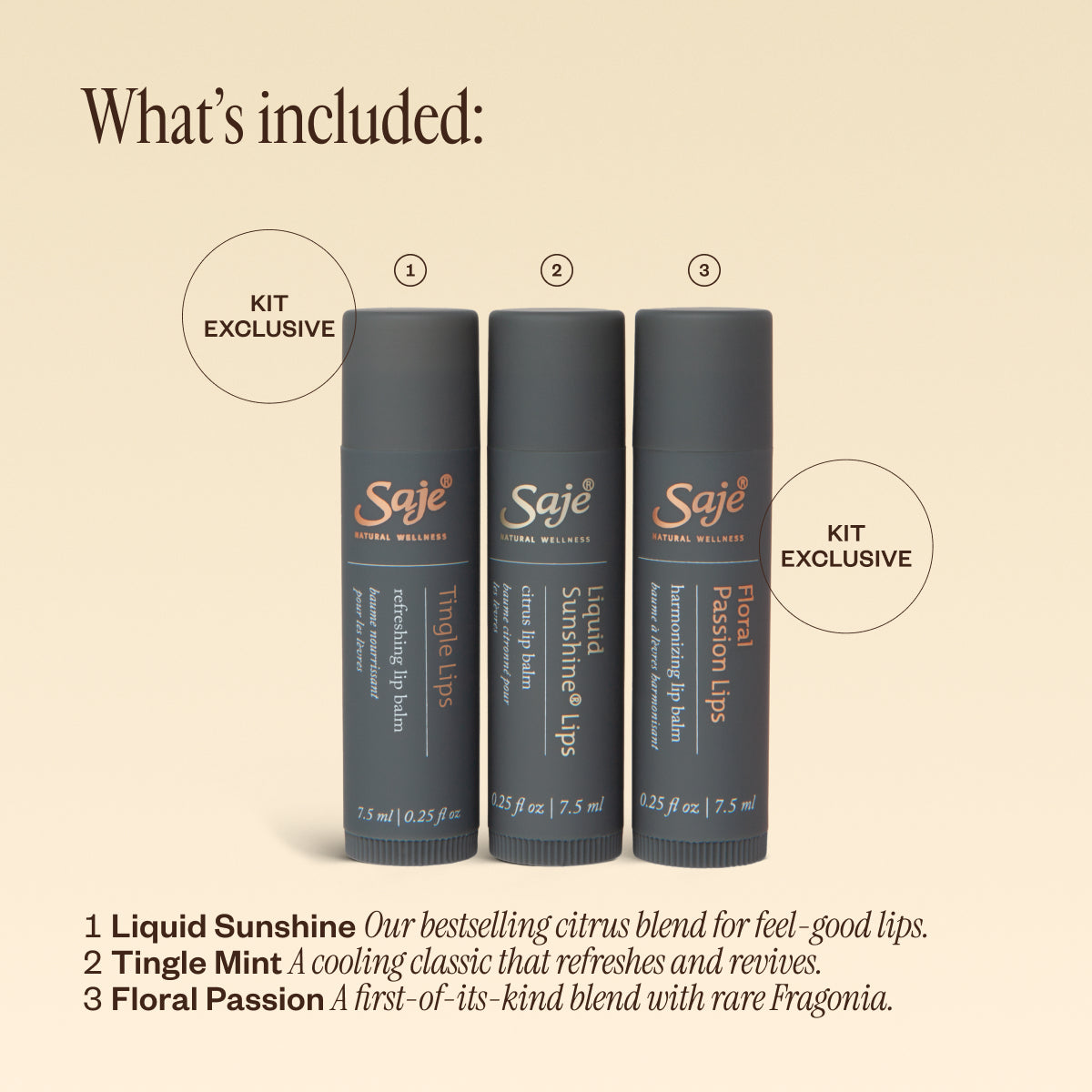 Nourishing Lip Balm Trio Set - Hydrating & Moisturizing Lip Care for Dry Lips - Perfect for Daily Use, Travel & Gifting