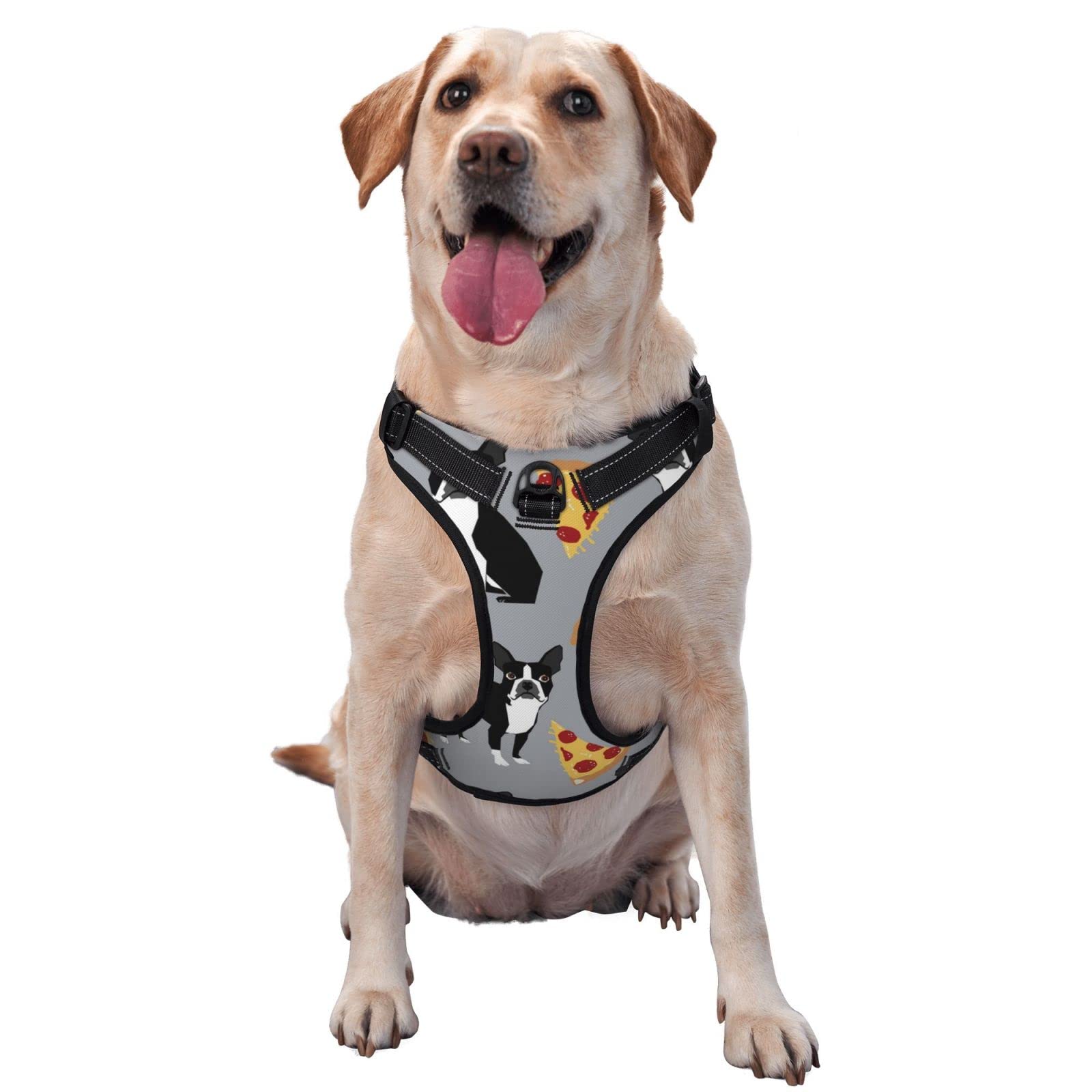 **Escape Proof Soft Adjustable Dog Harness and Leash Set for Small & Medium Dogs - Breathable Reflective Vest for Puppies & Pets - Perfect for Walking, Training & Outdoor Adventures**