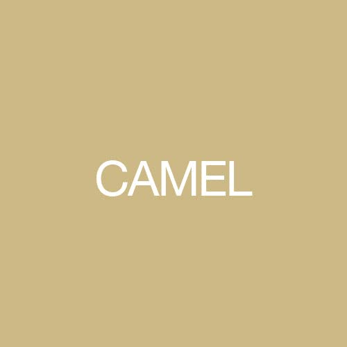 Camel