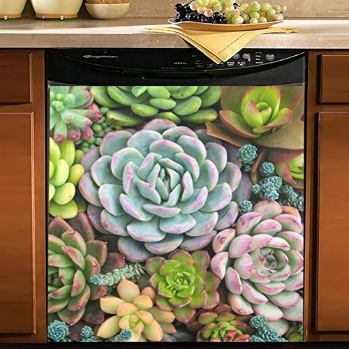 Succulents