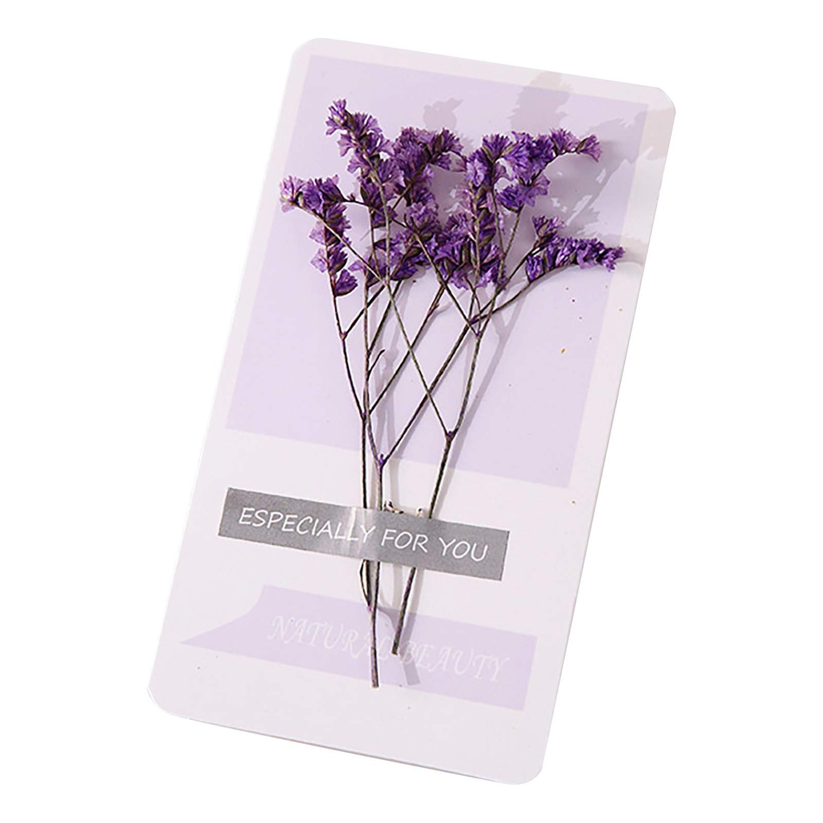 Mother's Day Gift Set - Preserved Dried Flowers & DIY Greeting Cards Kit for Handmade Crafts | Perfect for Home Decor, Wedding Favors, and Special Occasion Gifts