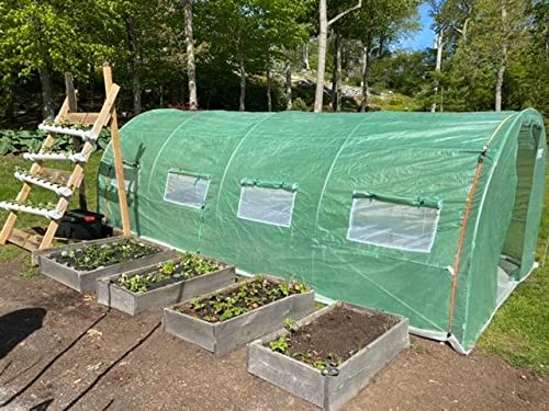 20' x 10' x 7' Walk-in Steel Greenhouse Kit with Plant Shelves - Durable Outdoor Garden Greenhouse for Patio, Backyard & Gardening Enthusiasts - Perfect for Growing Vegetables, Flowers & Herbs Year-Round