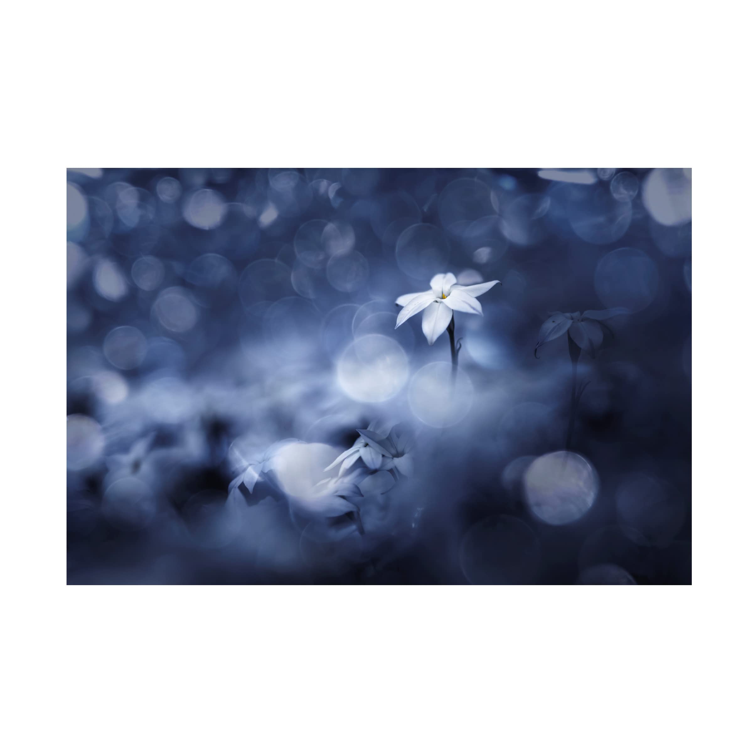 Takashi Suzuki 'Sparkling Background' Canvas Art Print - Modern Abstract Wall Decor for Living Room, Bedroom & Office - Premium Trademark Fine Art Collection