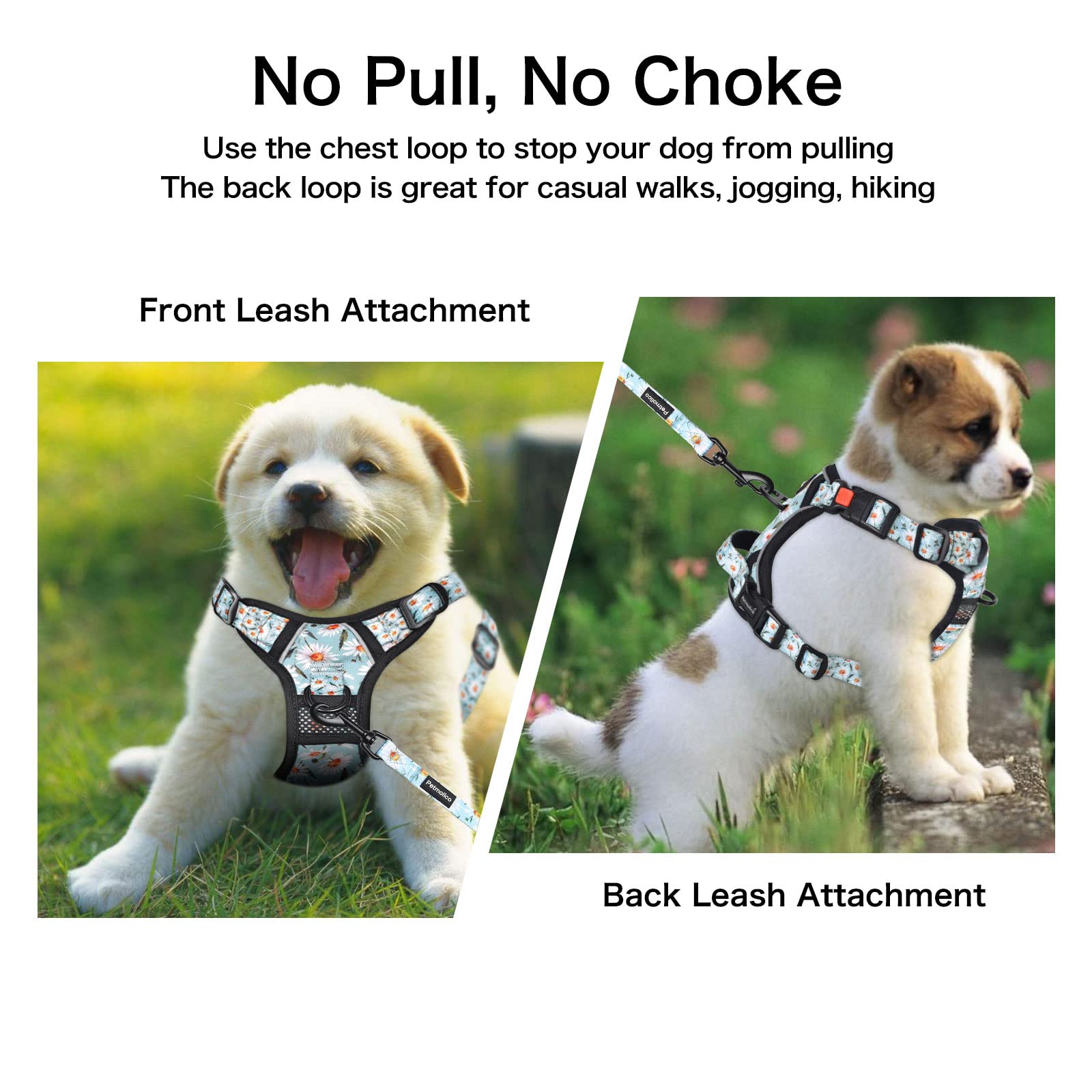 Petmolico No Pull Dog Harness Set with Leash - Reflective Adjustable Vest for Small & Medium Breeds, Puppy Control Handle & Poop Bag Holder - Perfect for Walking, Training & Outdoor Adventures (Medium, Daisy)