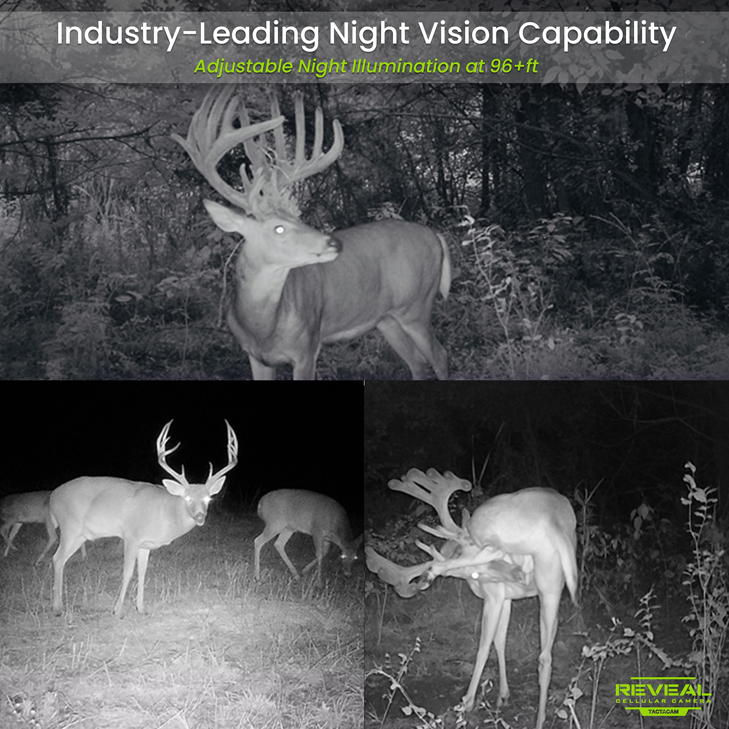 TACTACAM Reveal X Cellular Trail Camera for Verizon - 4G LTE Wireless Game Camera with Night Vision & Motion Detection - Perfect for Hunting, Wildlife Monitoring & Outdoor Security
