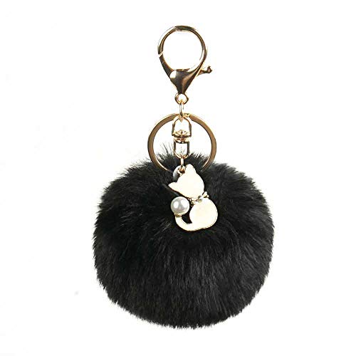 Cat Black