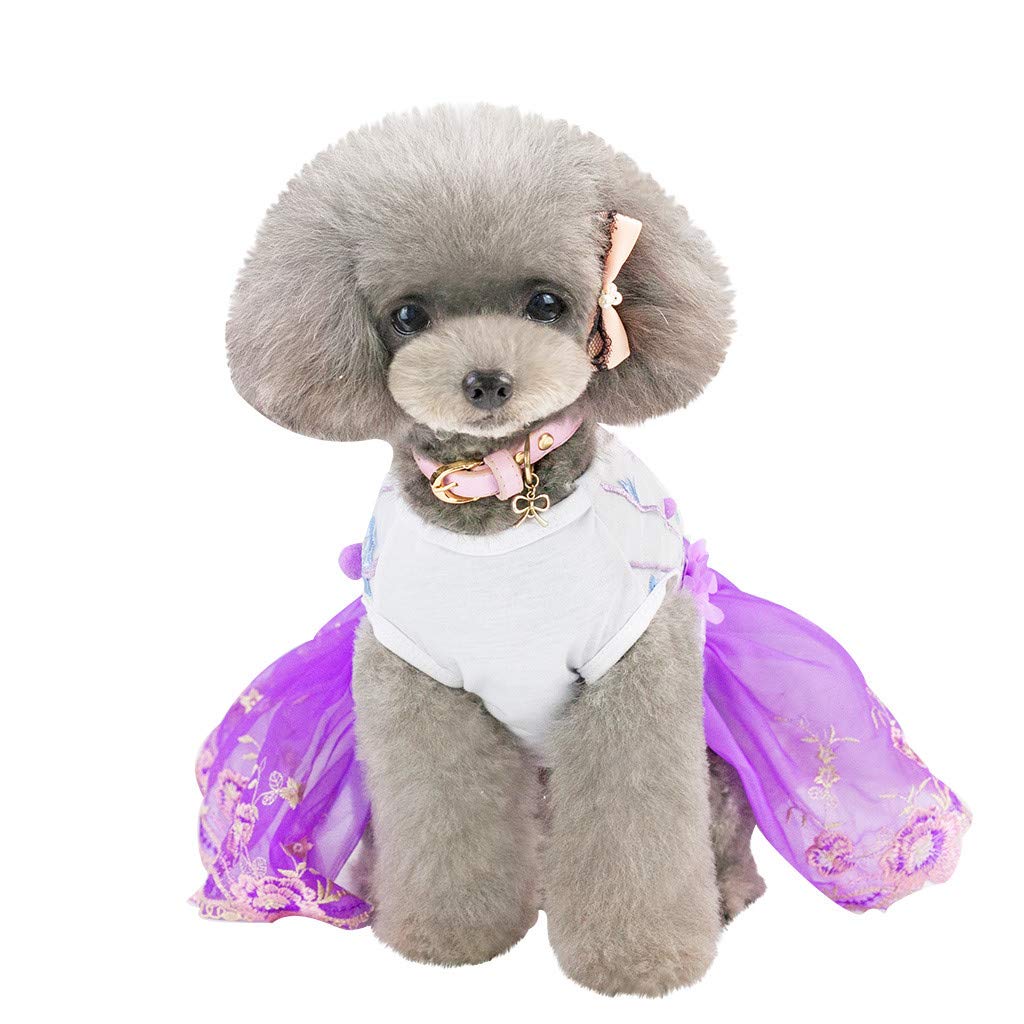 Breathable Pet Dog Dress with Music Print & Lace - Soft Cotton Sweater for Small Dogs, Pekingese & Cats | Perfect for Daily Walks, Parties & Photo Shoots