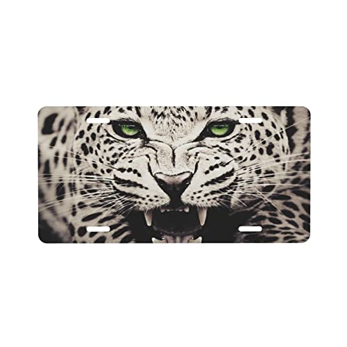Fierce Leopard