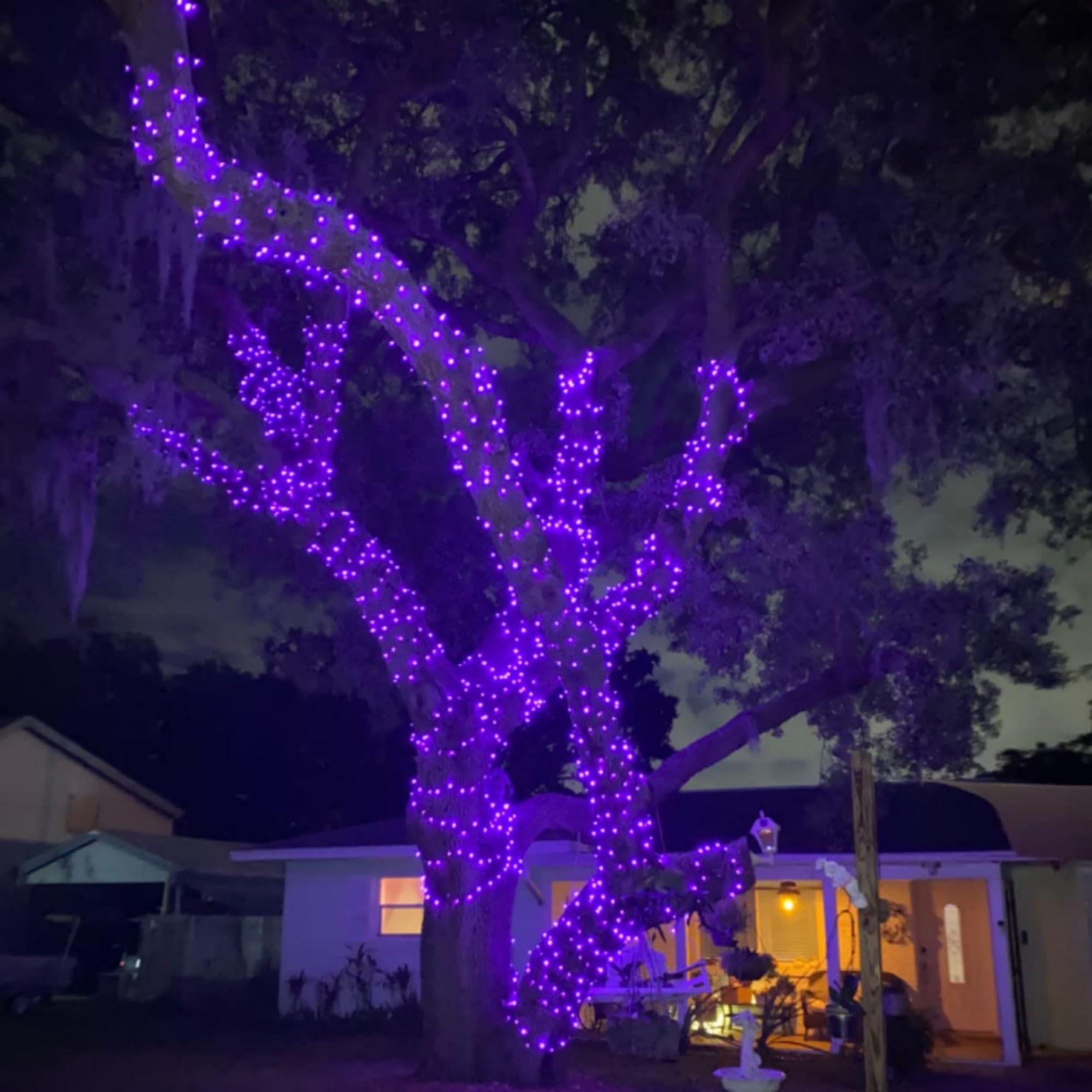 Upgraded 100 LED Solar Fairy Lights, 2 Pack 33ft Waterproof - Outdoor Garden Decor