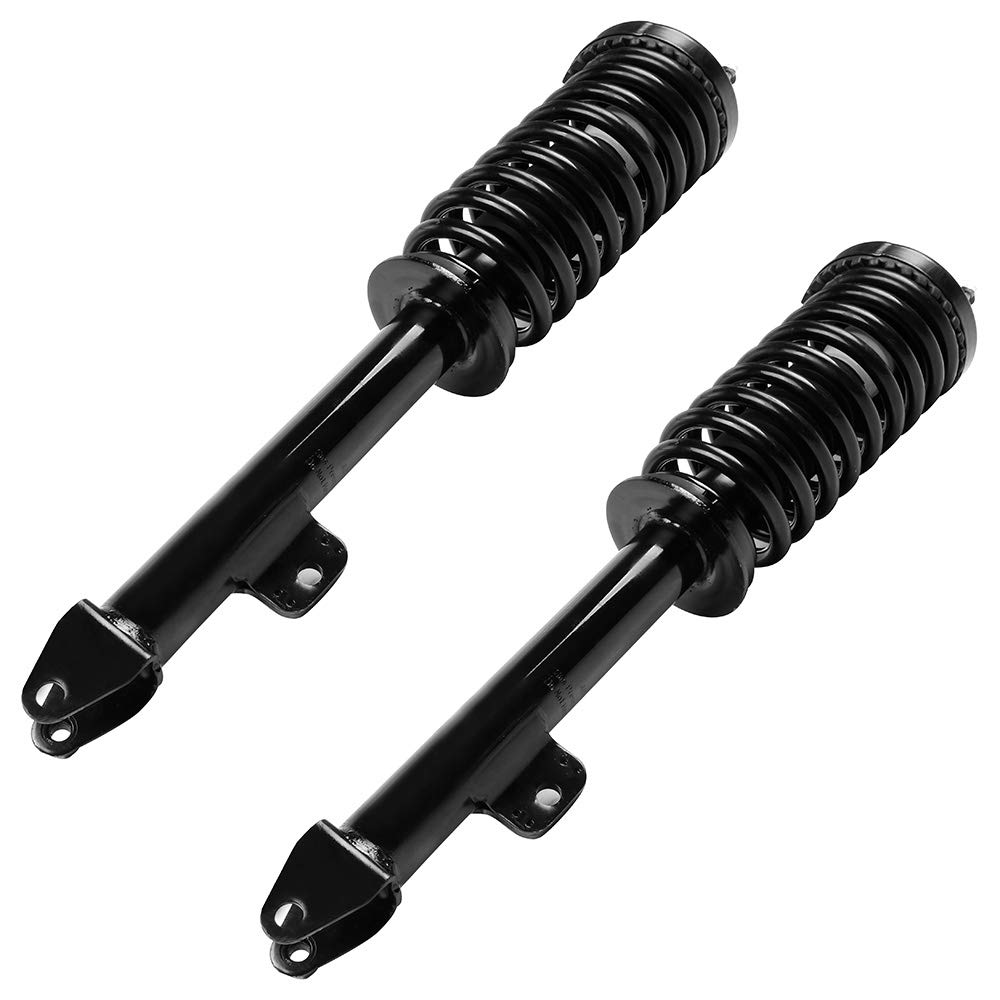 ROADFAR Front Driver & Passenger Side Complete Strut Spring Assembly - Compatible with 2005-2010 Chrysler 300, 2006-2010 Dodge Charger, 2005-2008 Dodge Magnum - Replacement for 172248 - Smooth Ride & Enhanced Suspension for City Driving & Highway Cruising