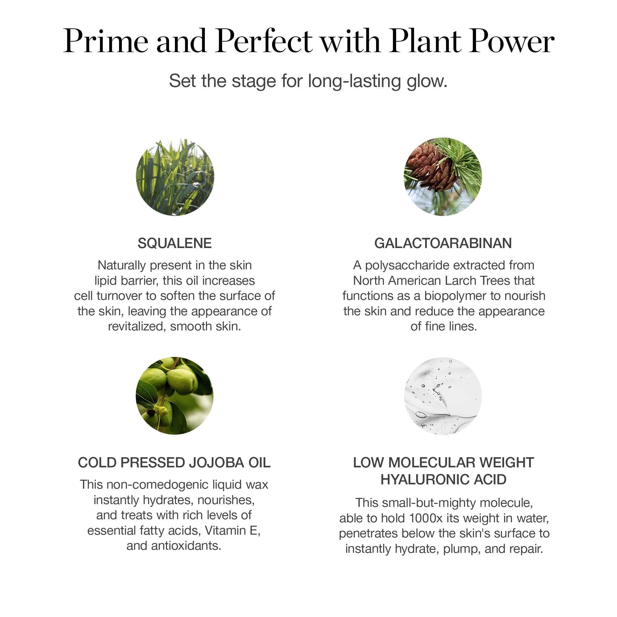 Ogee Makeup Primer - Organic Hydrating Face Primer for Oily & All Skin Types with Jojoba Oil & Hyaluronic Acid - 73% Organic Ingredients, Vegan & Cruelty-Free, Made in USA - Perfect for Daily Makeup Prep & Long-Lasting Wear