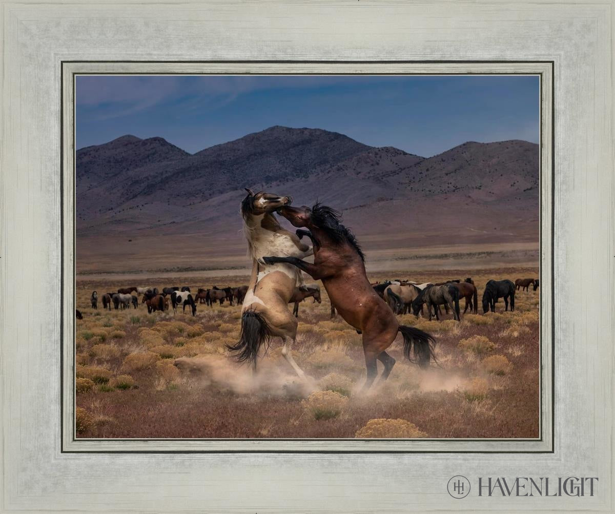 Desert Duel by Greg Sargent - Western Novel, Adventure & Action Book - Perfect for Fans of Cowboy Stories and Wild West Tales | Great for Reading on Road Trips, Camping & Relaxation