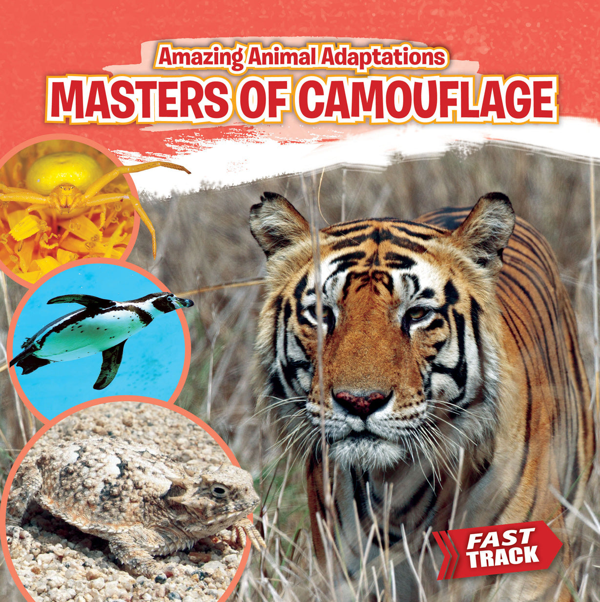 Masters of Camouflage - Premium Hunting & Outdoor Gear for Stealth Adventures | Perfect for Hunting, Airsoft & Tactical Operations