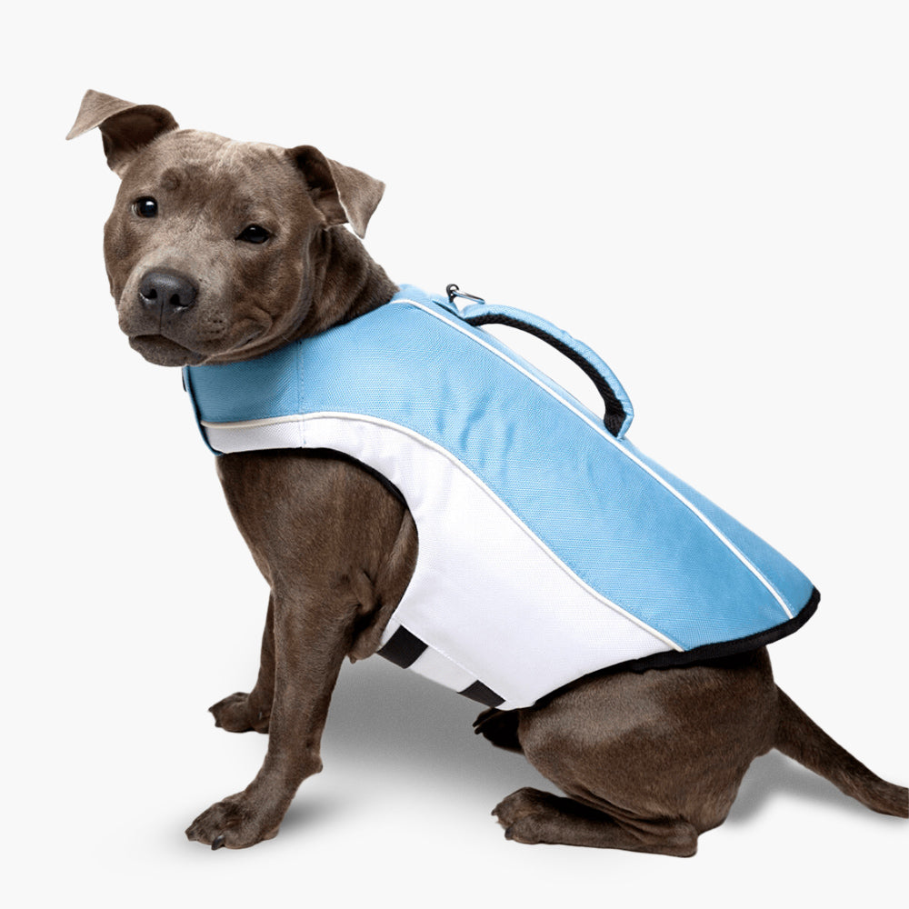 Dog Life Jacket for Swimming & Boating - Safe & Comfortable Dog Floatation Vest with Handle, Sky Blue - Perfect for Water Activities, Pool, Beach & Lakeside Adventures