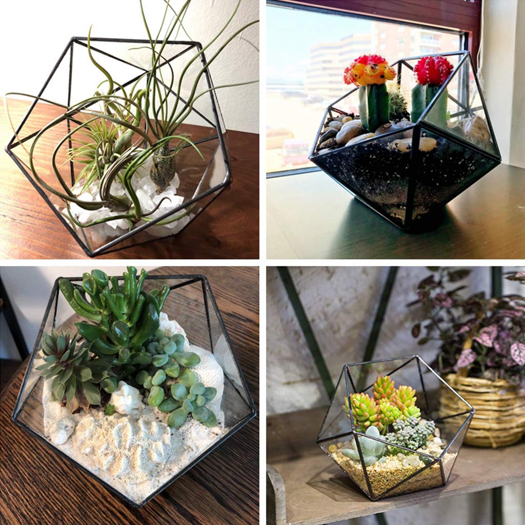 Glass Geometric Terrarium Box - Jewelry Holder & Succulent Planter for Home Decor (Black/Gold, No Plant Included) | Perfect for Tabletop Display, Wedding Centerpieces, and Office Desk Decor
