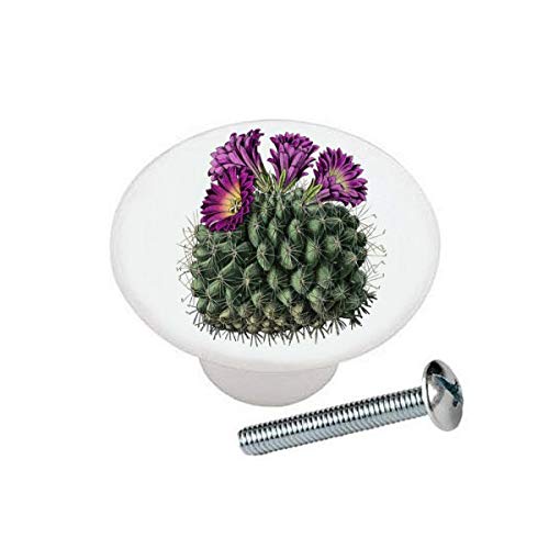 Vibrant Purple Mexican Cactus Ceramic Cabinet Knobs - Glossy Dresser Drawer Pulls for Boho Home Decor, Kitchen Cabinets & Bathroom Vanities