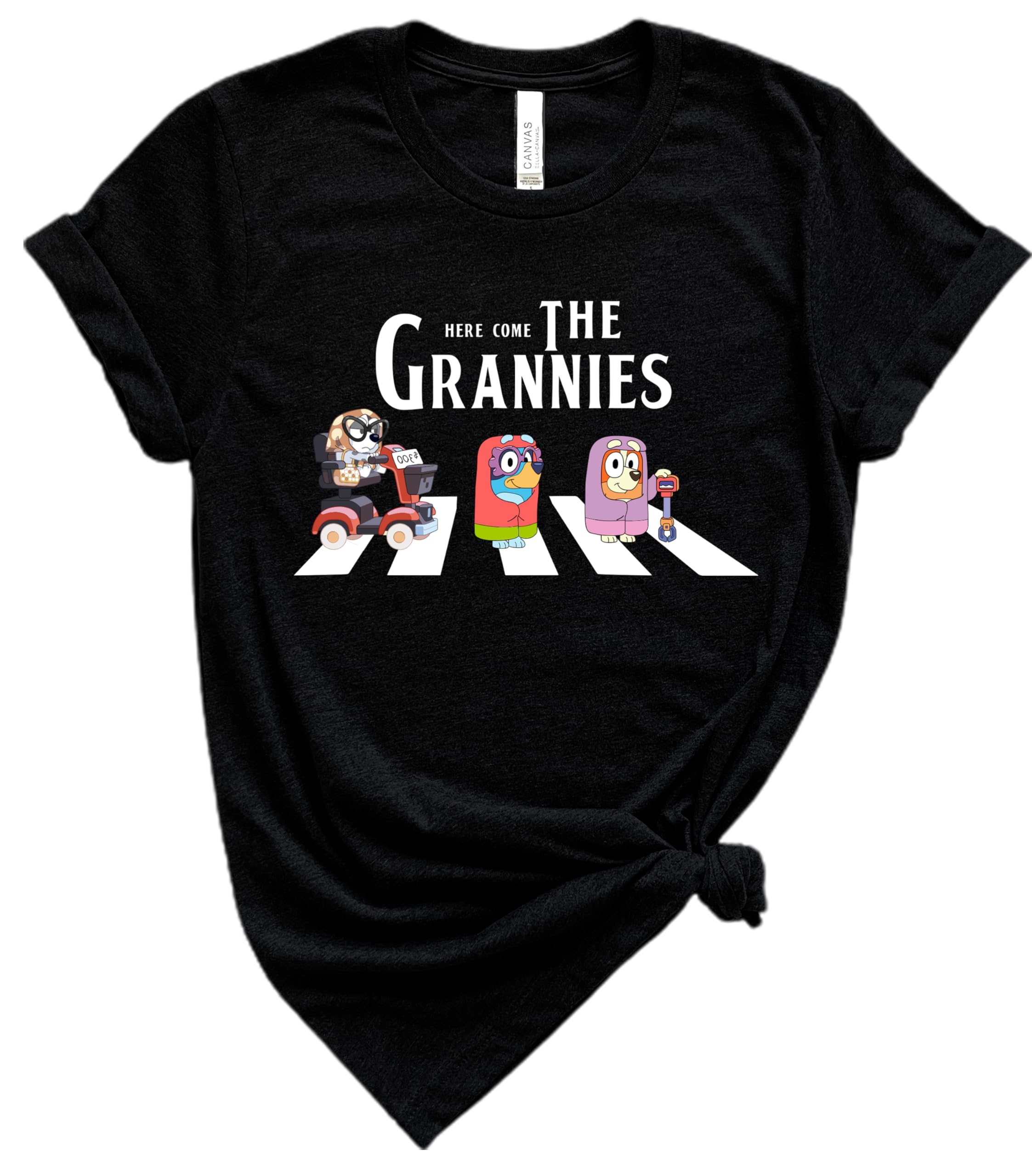 Here Come The Grannies Matching Family T-Shirts - Birthday Outfit for Boys & Girls - Blue Dog Lover Shirts for Toddler, Youth & Adult - Perfect for Family Reunions, Birthday Parties & Pet-Themed Events
