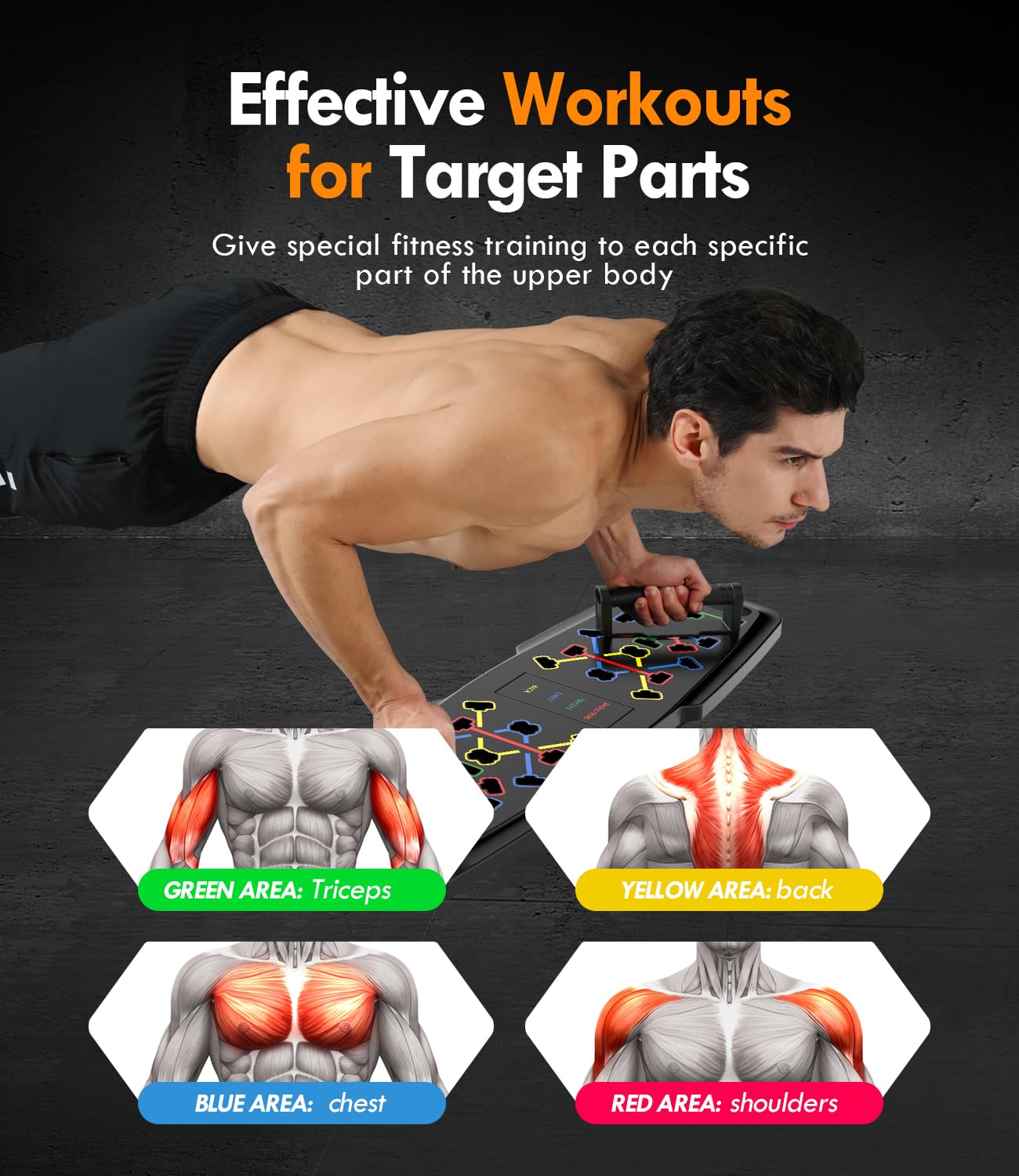 Push Up Board for Home Gym - Portable Exercise Equipment with Pilates Bar, Resistance Bands & Ab Roller Wheel - 20 Fitness Accessories for Full Body Workout - Perfect for Home Workouts, Strength Training & Pilates Exercises
