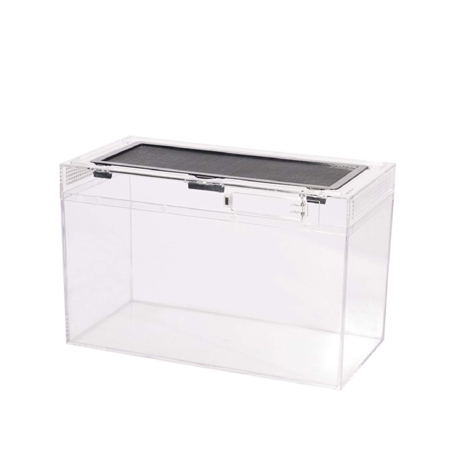 JFF Reptile Breeding Box - Crystal Clear Explosion-Proof Glass Terrarium for Small Reptiles & Amphibians | Portable Habitat for Geckos, Frogs & Mini Pets | Perfect for Home, Office or Classroom Display