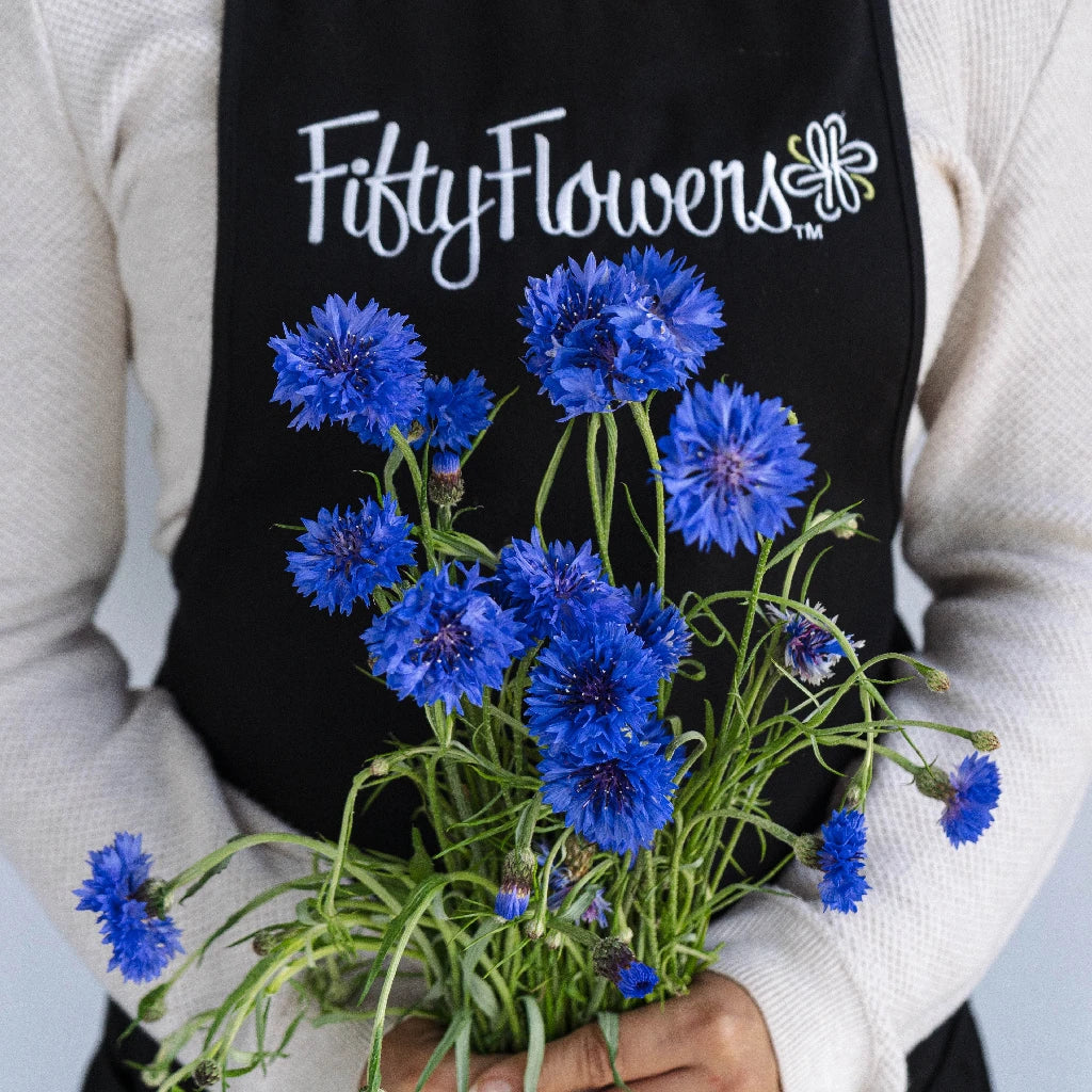 Blue Cornflower Seeds for Planting - Non-GMO, Heirloom Flowers for Garden, Bouquets & Landscaping | Perfect for Home Gardens, Wedding Decor & DIY Floral Arrangements